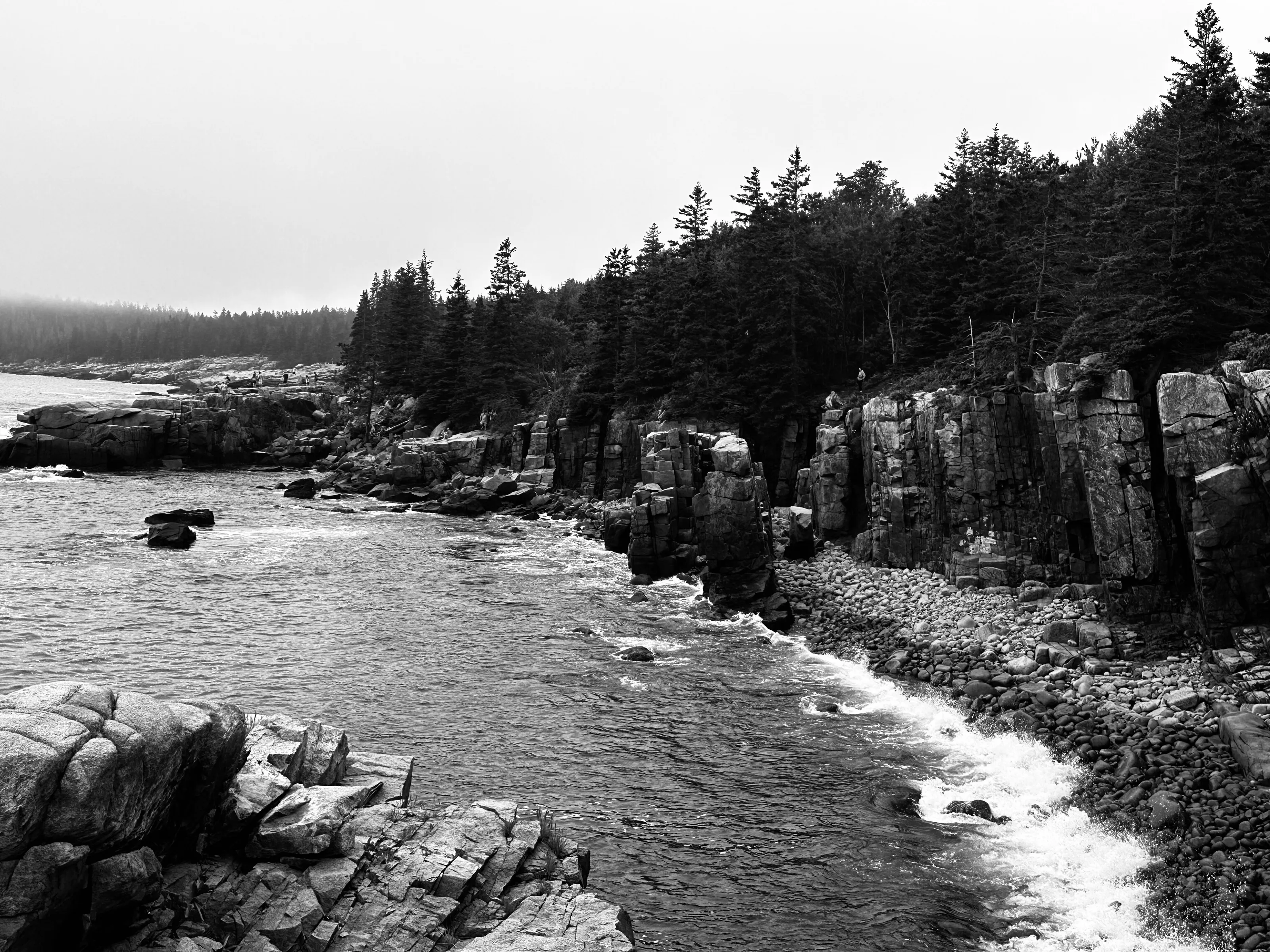 The Rugged Coast of Acadia