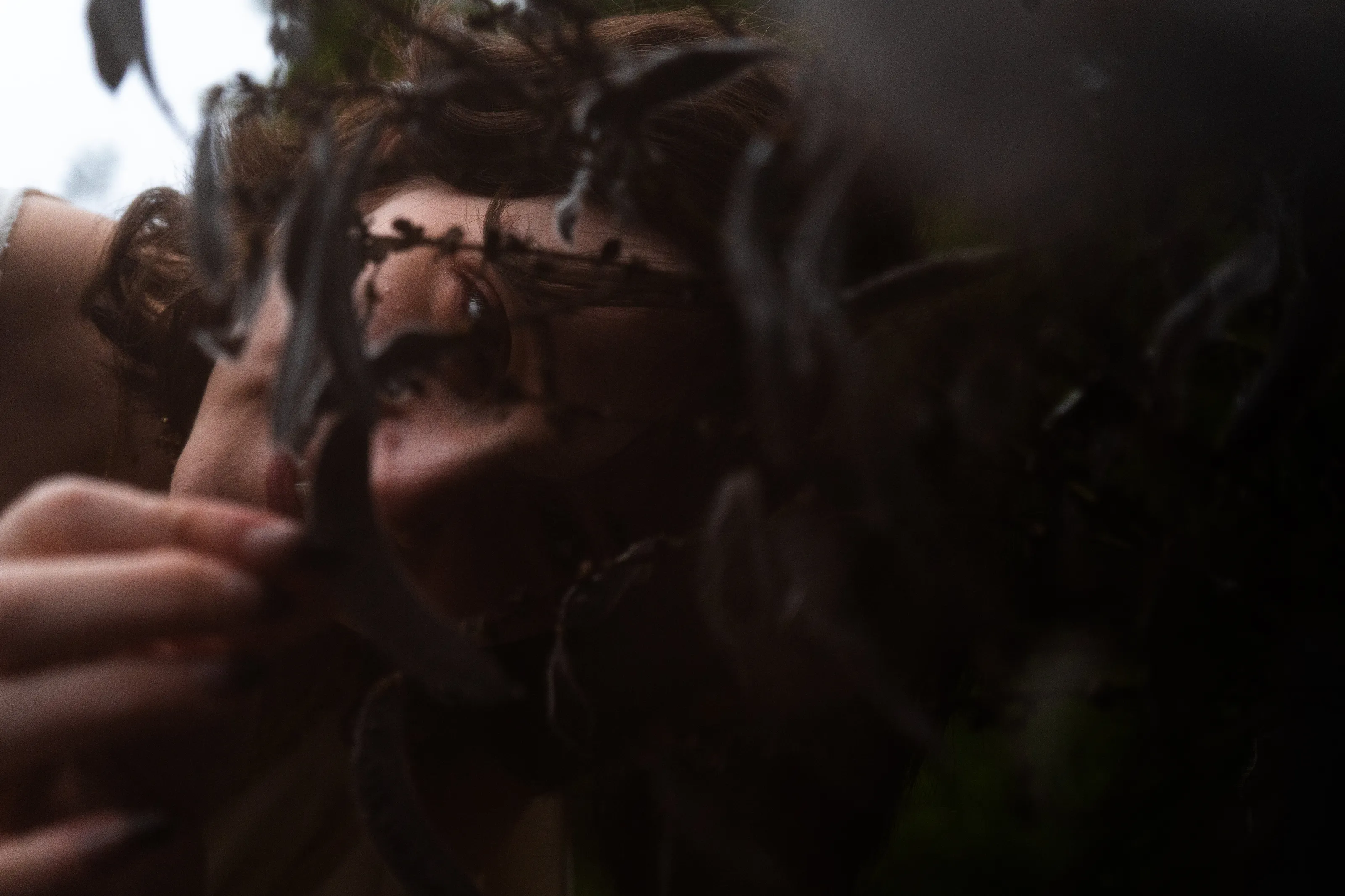 Banner image