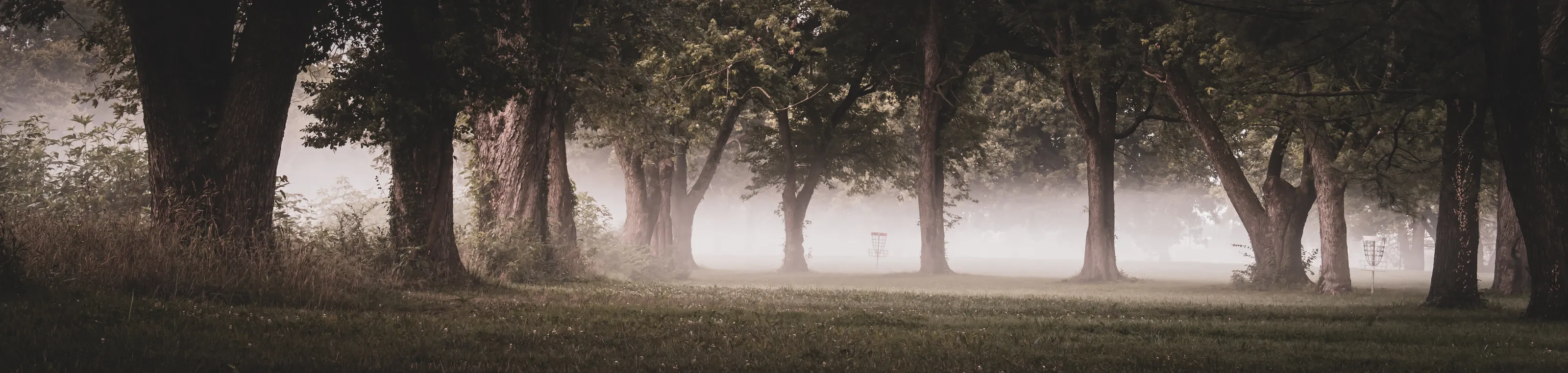 Early Morning at a Frisbee Golf Course