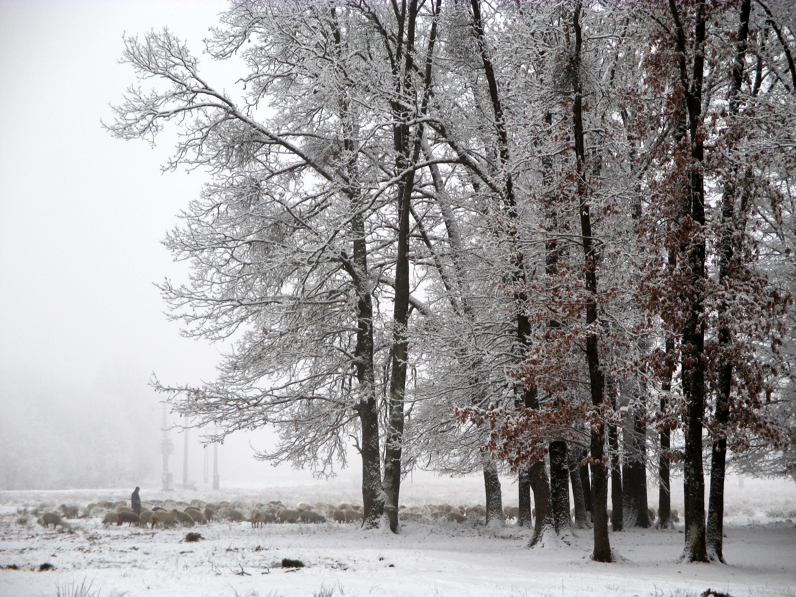 A freezing winter tale