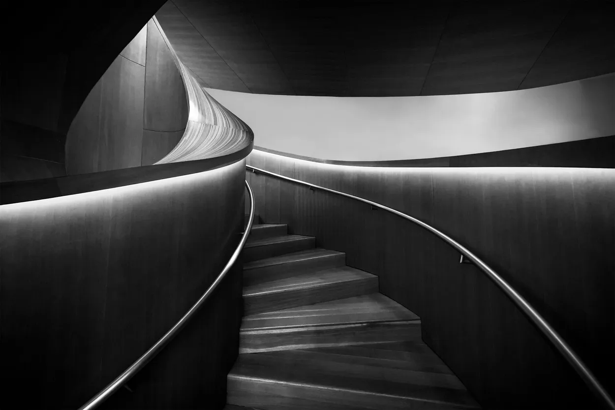 Entry 19109011