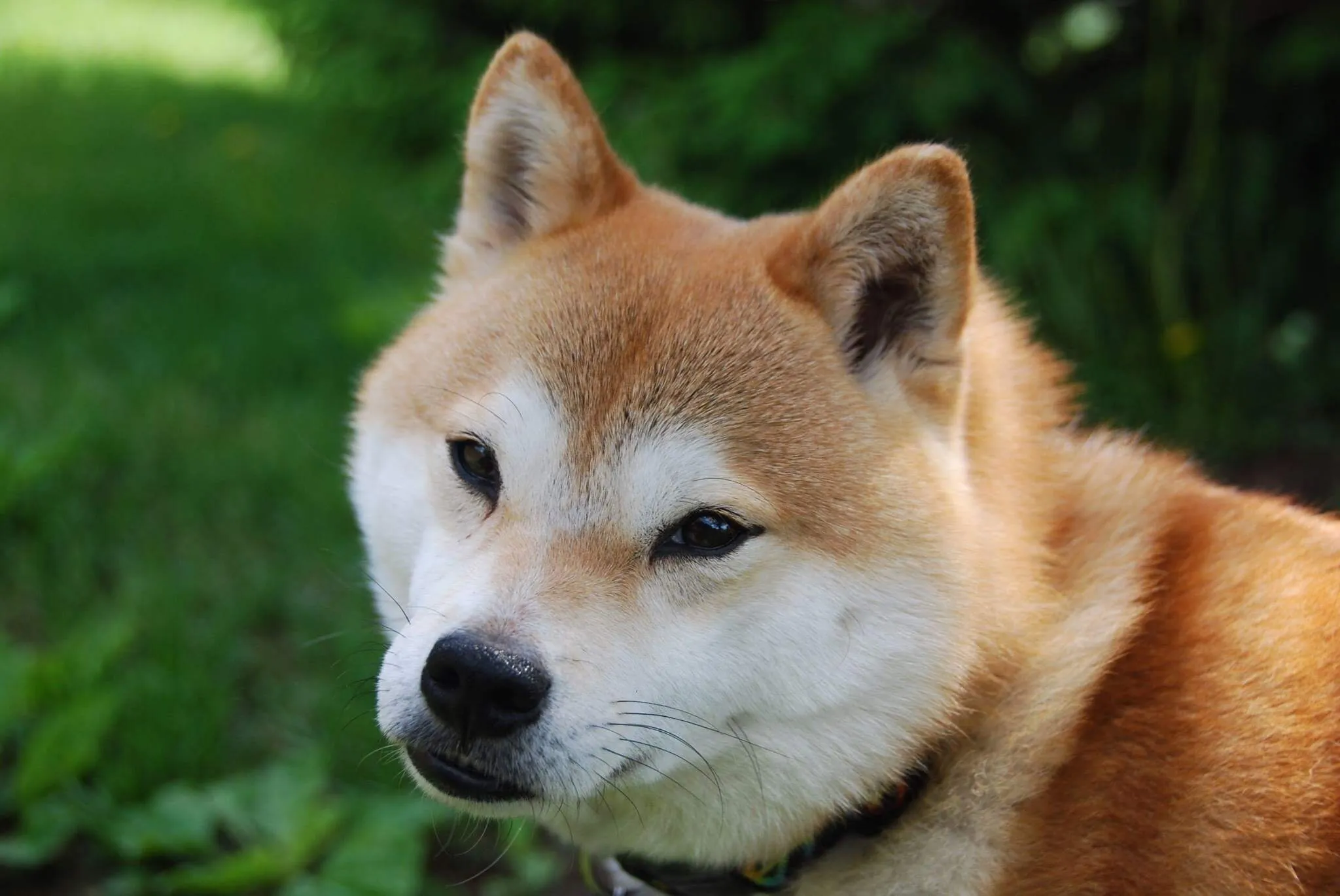 Zero