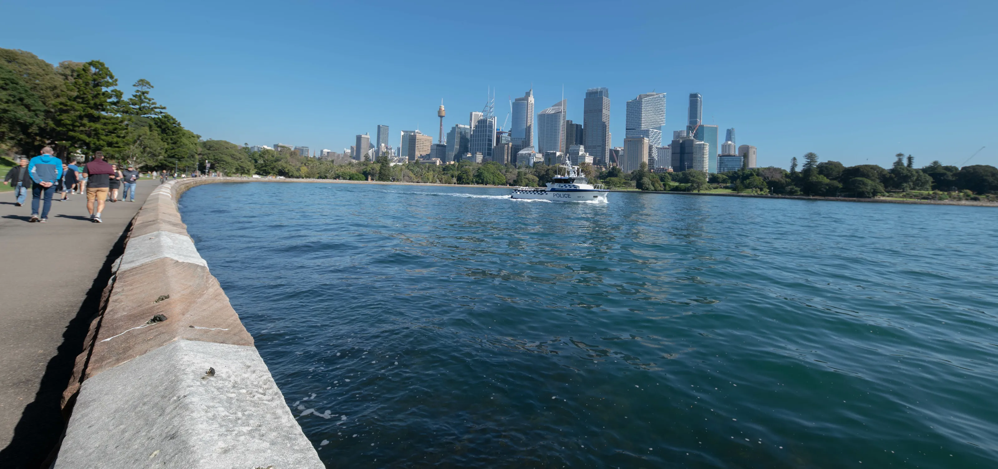 Sydney skyline towers