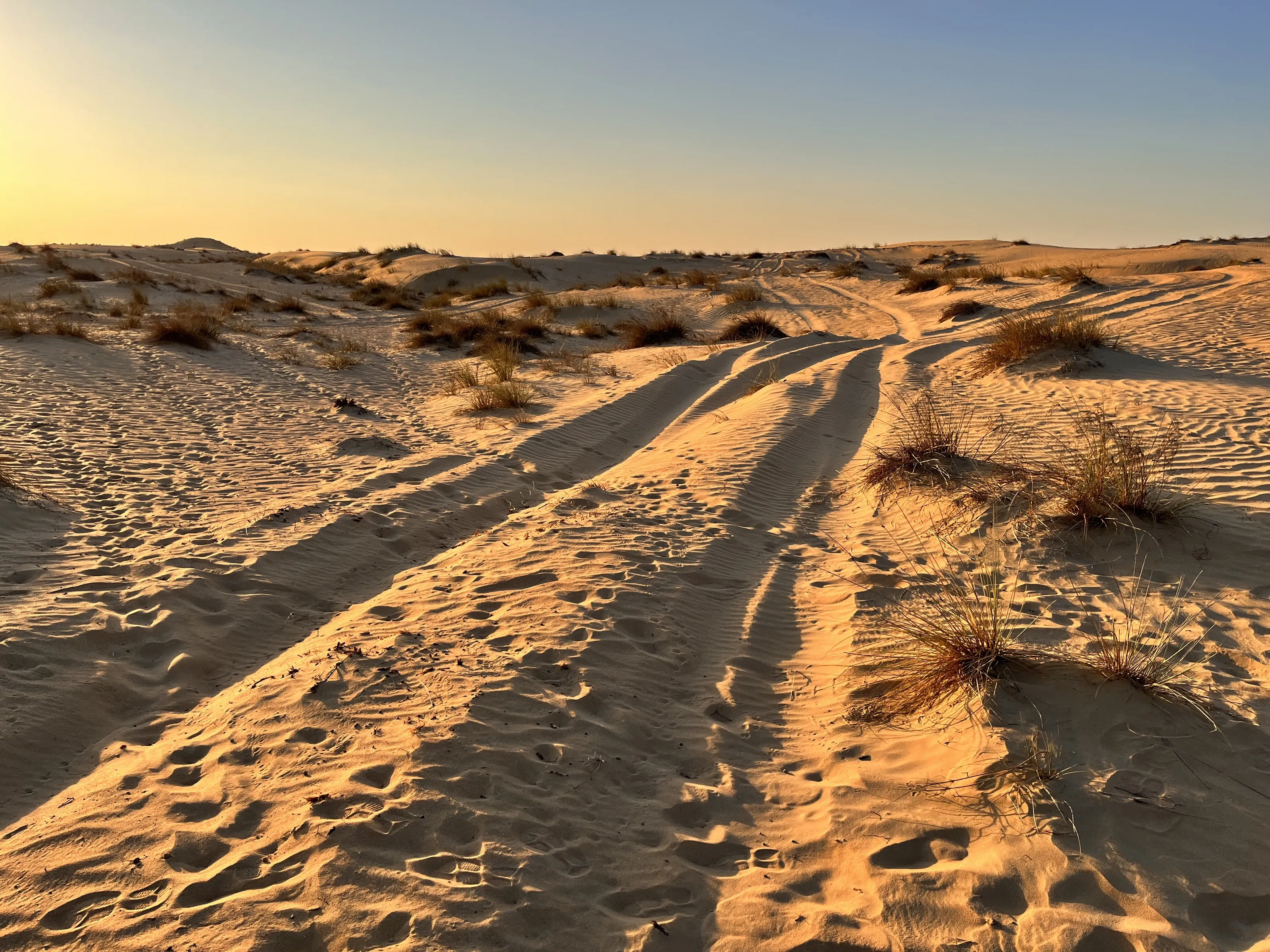 Rough Pathway