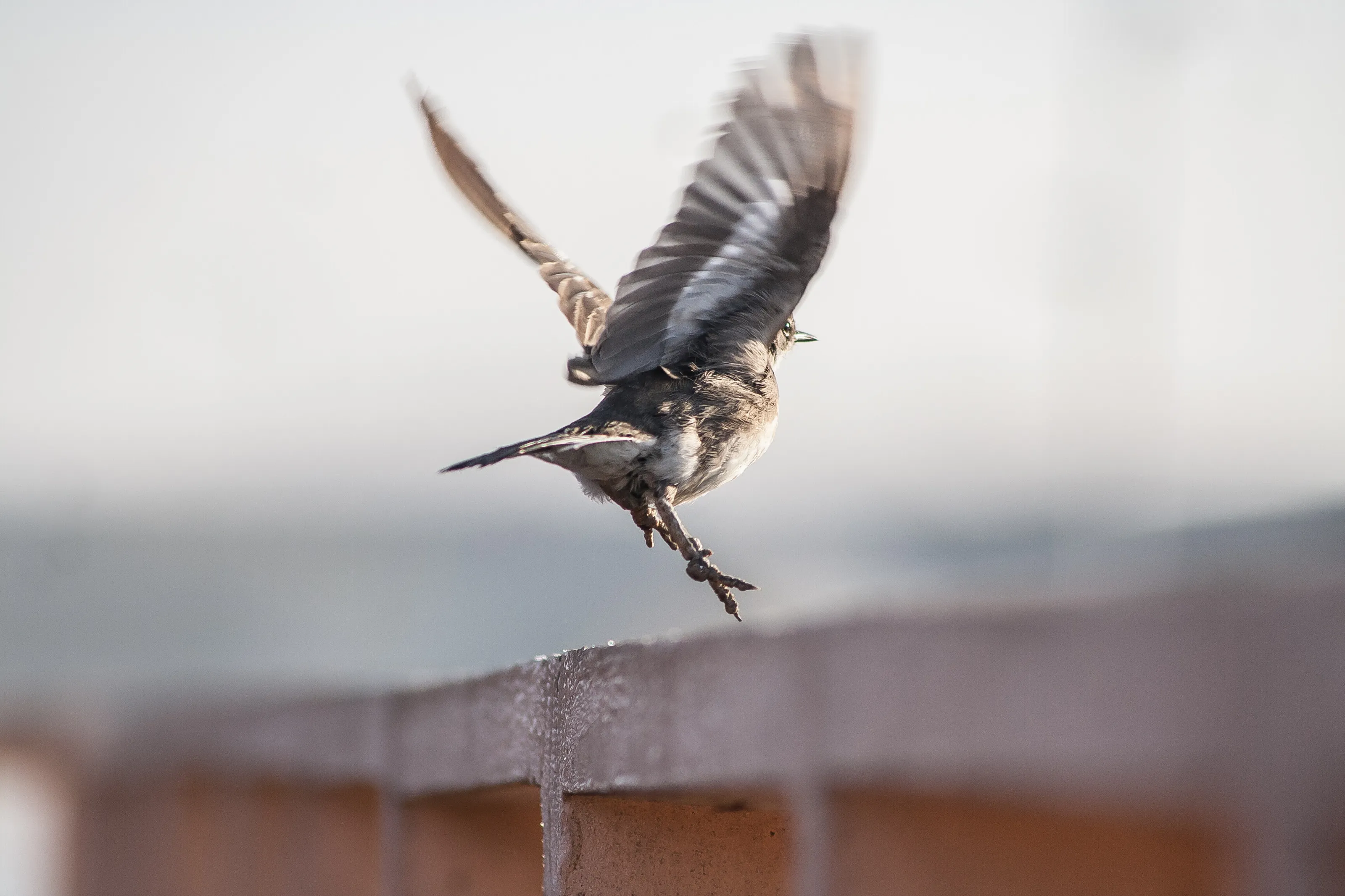 Take off