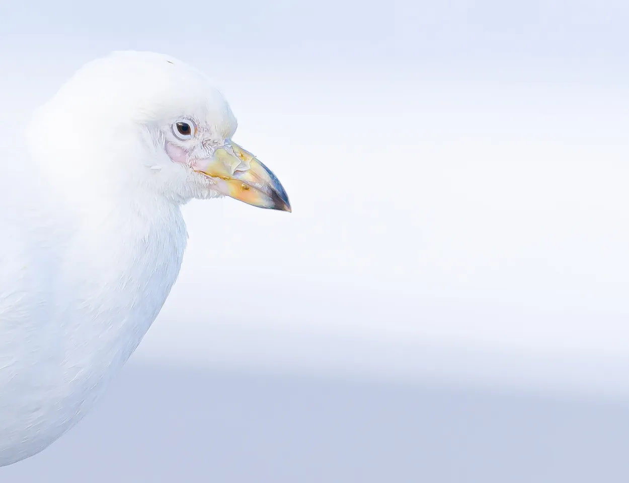 Entry 19634156