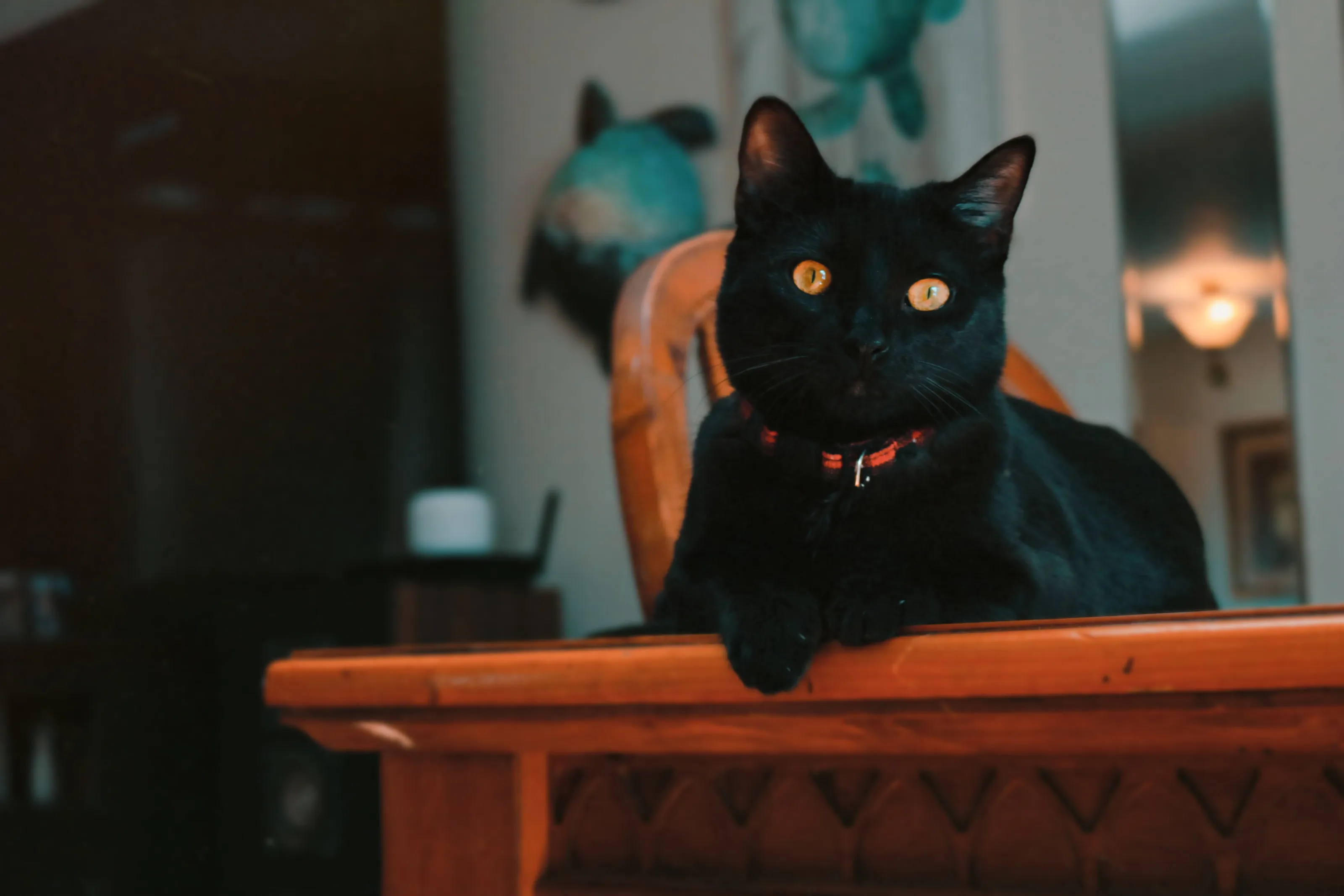 Banner image