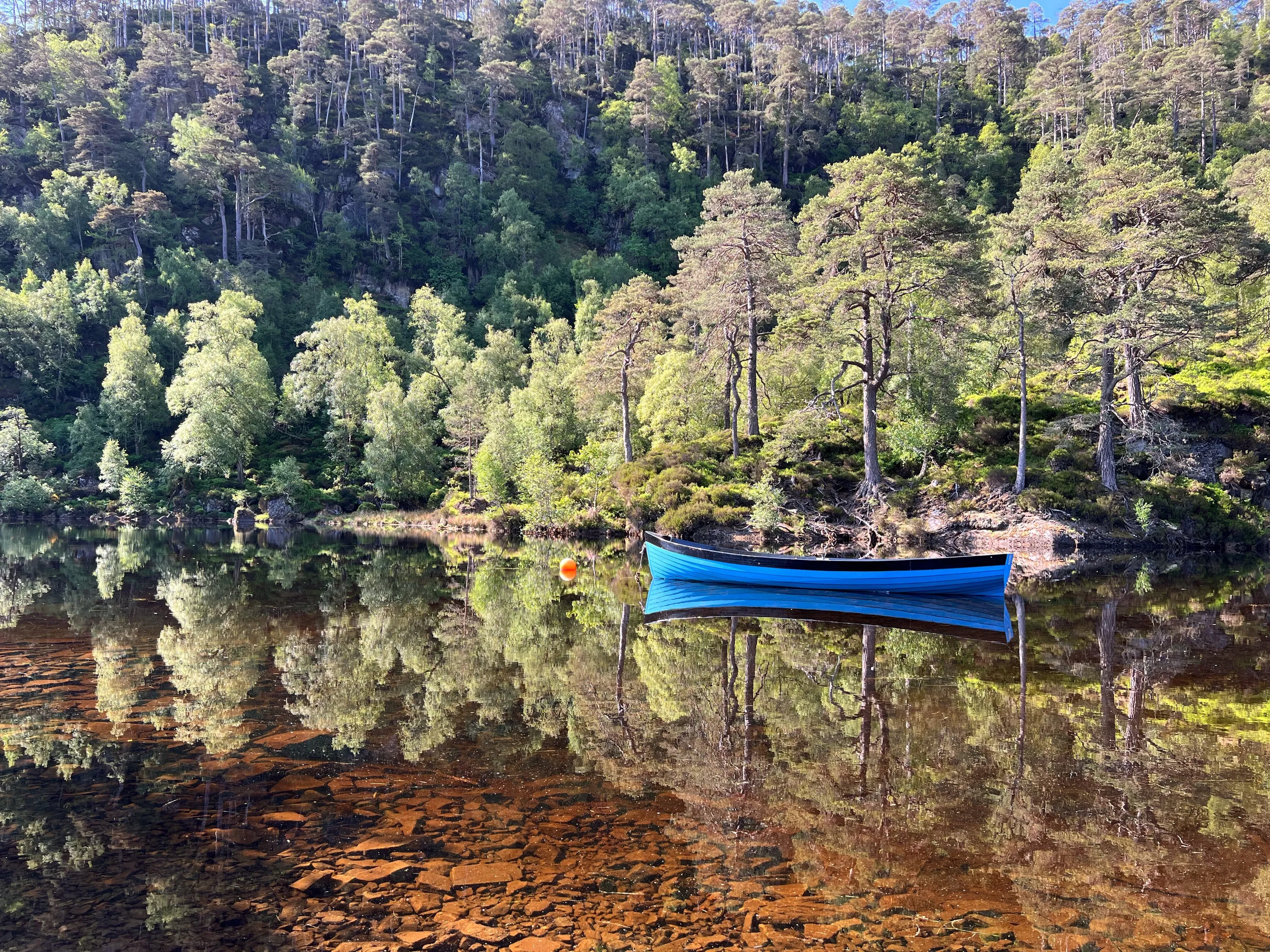 Reflections of a Glen