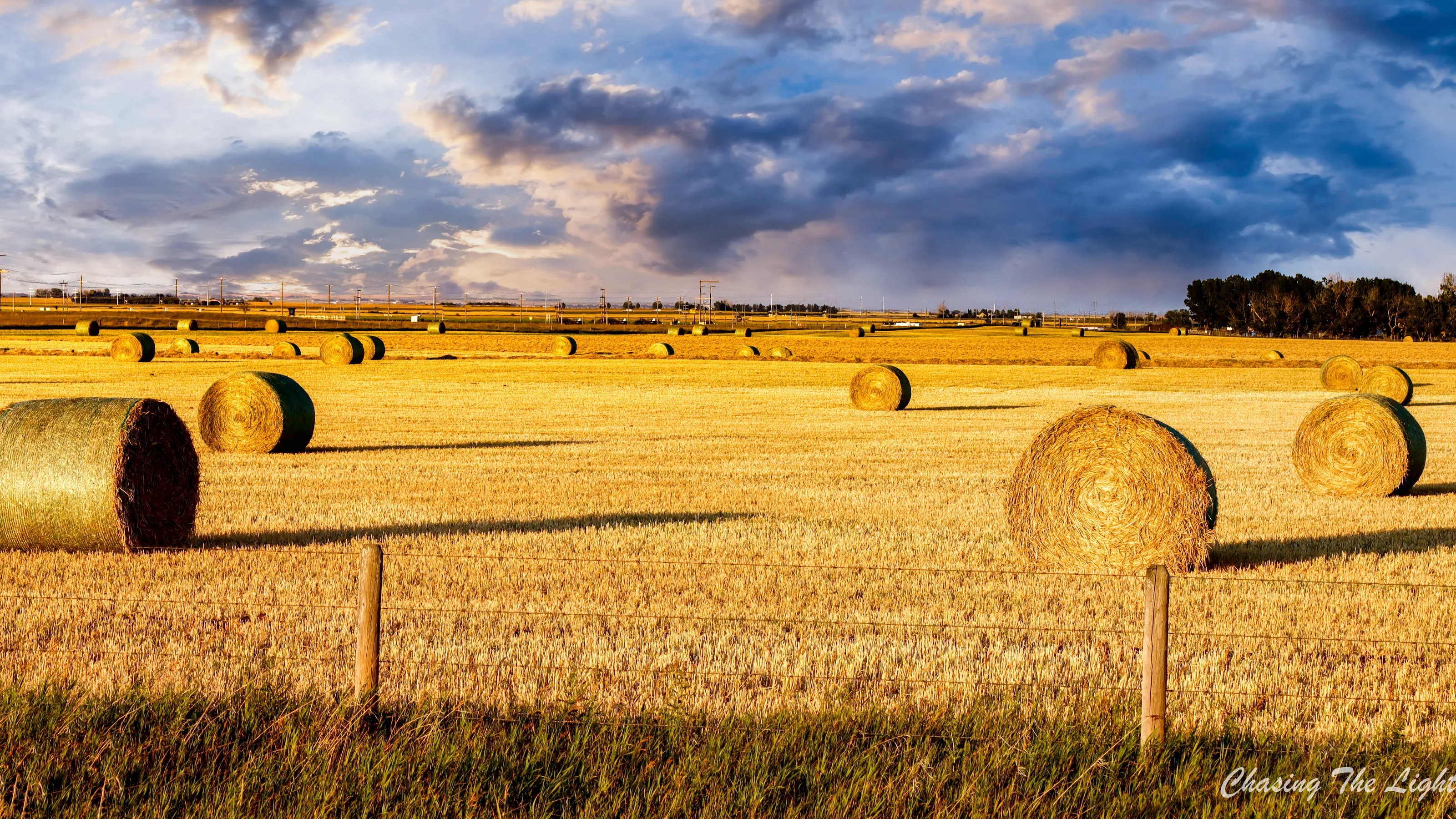 Harvest Time