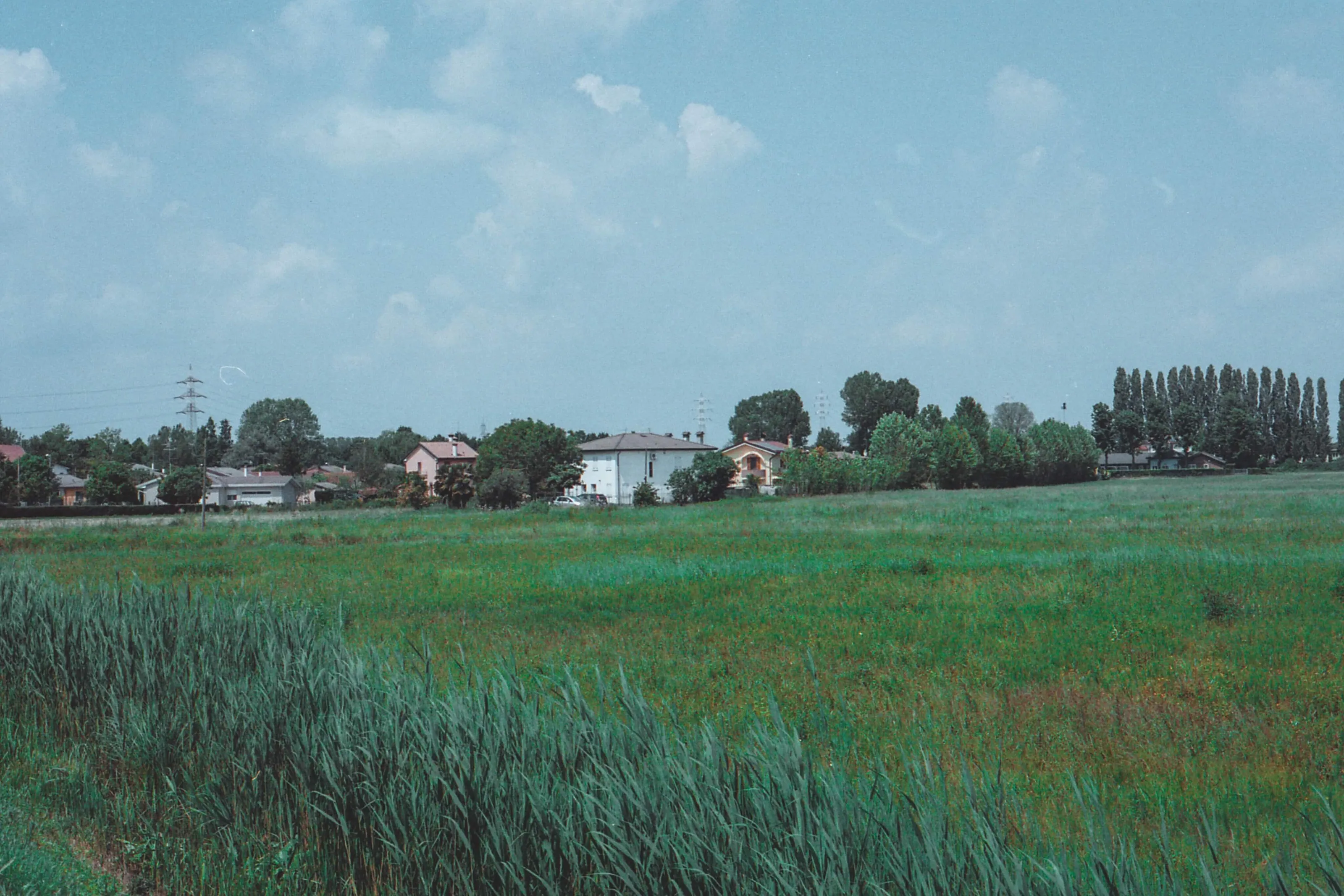 Italian field