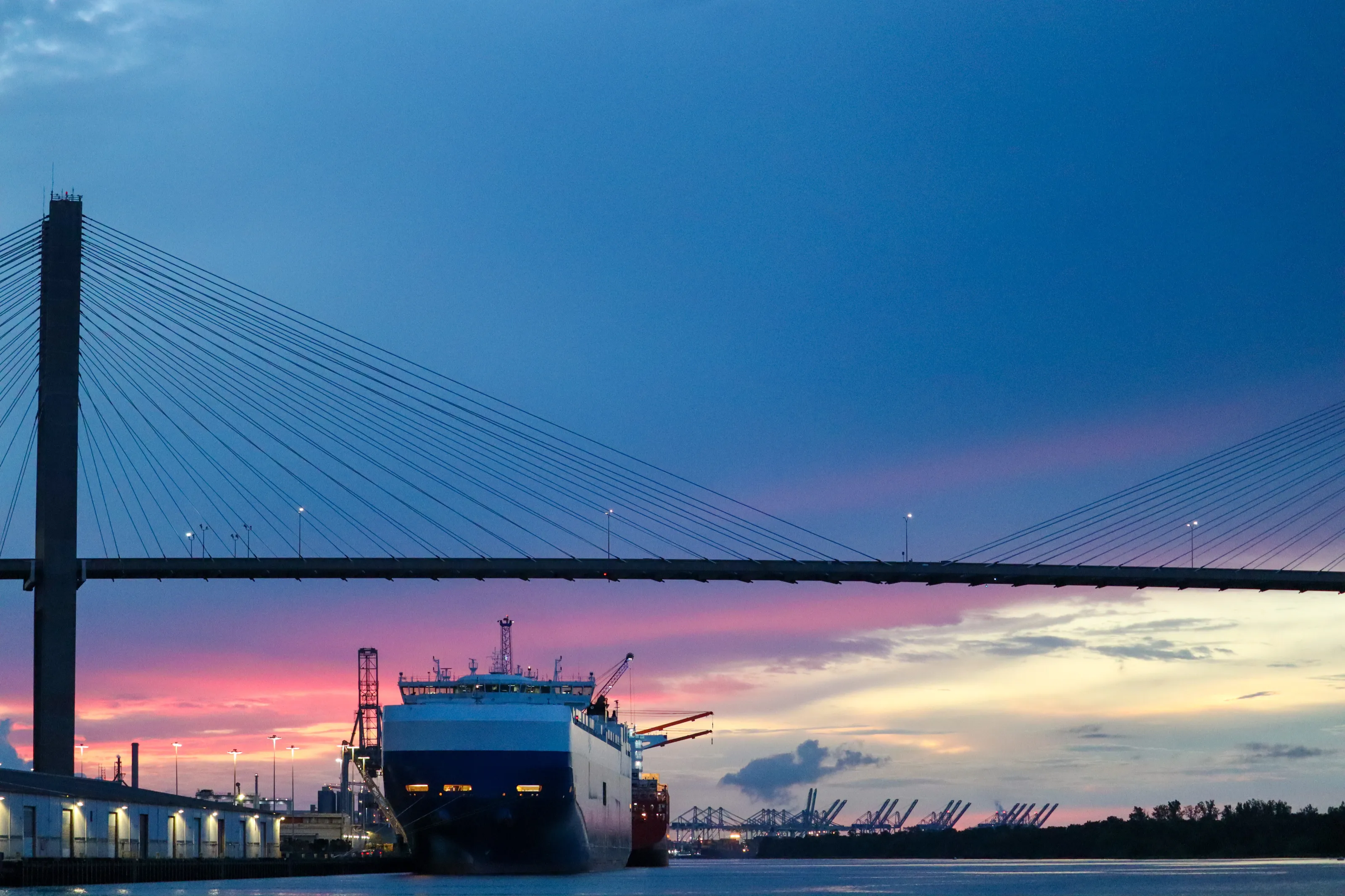Savannah Bridge at Sunset