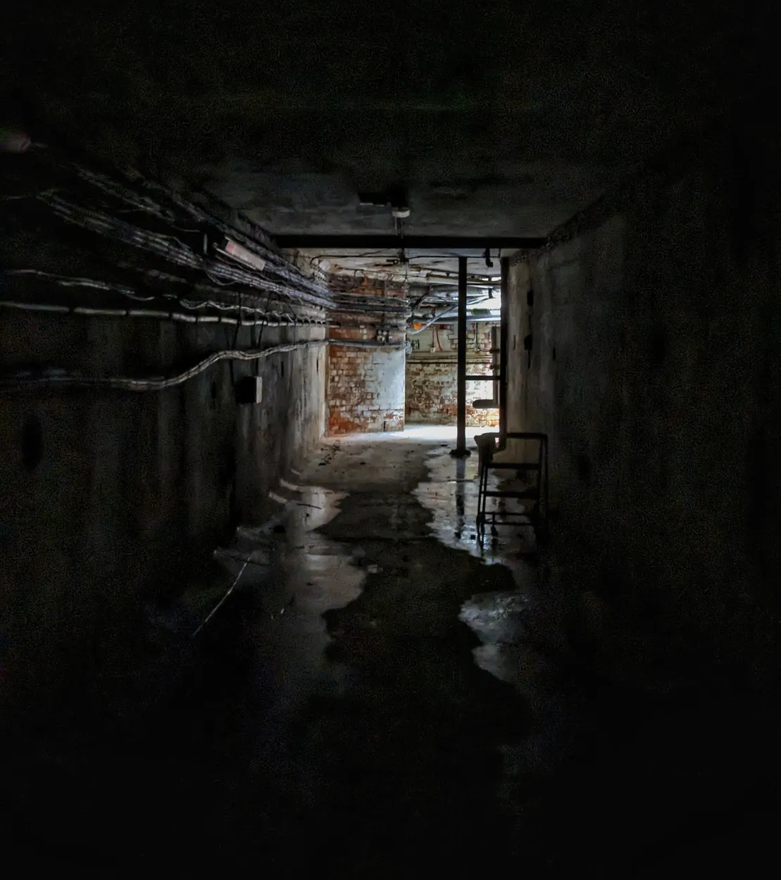 Entry 19736772