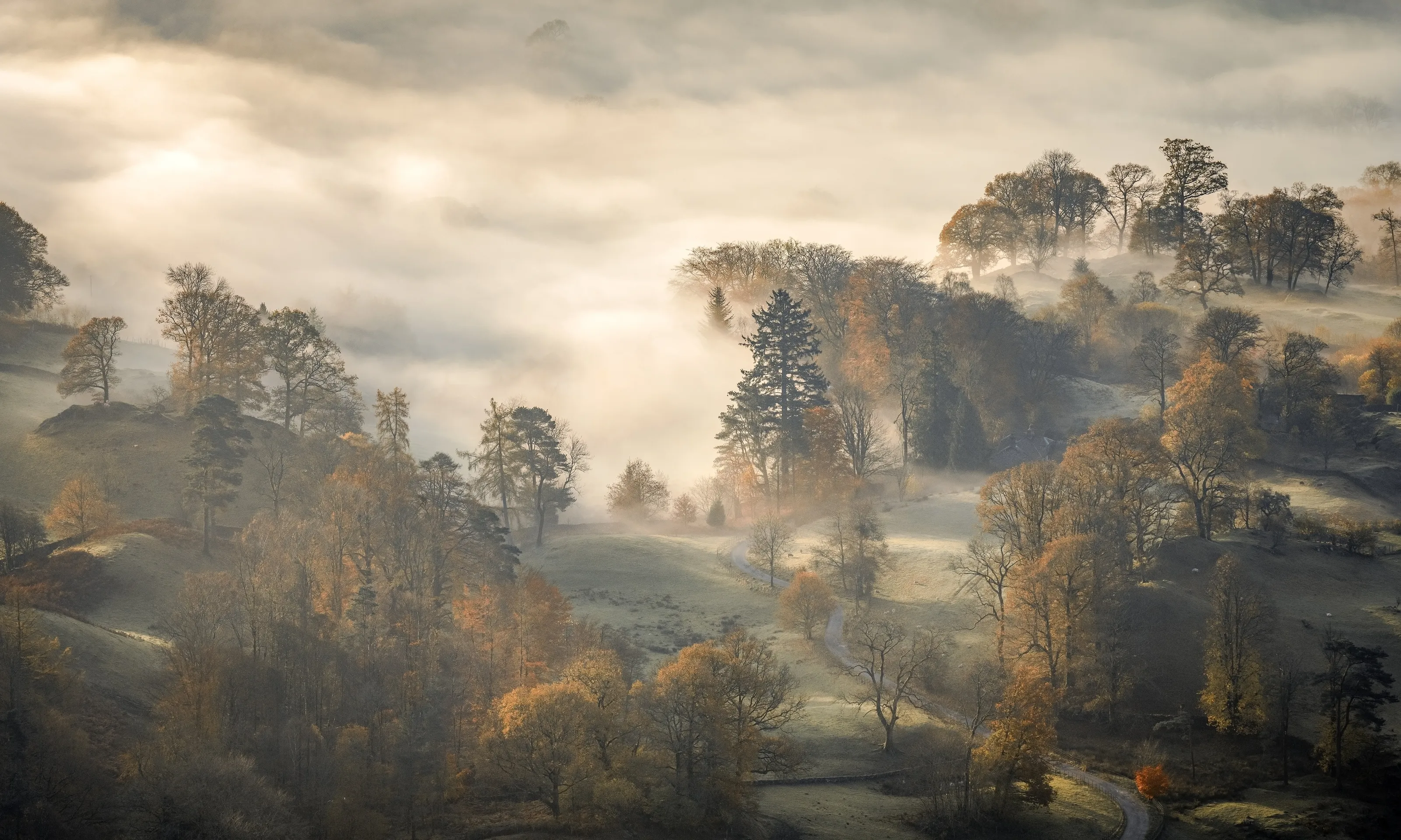 Autumn Gold