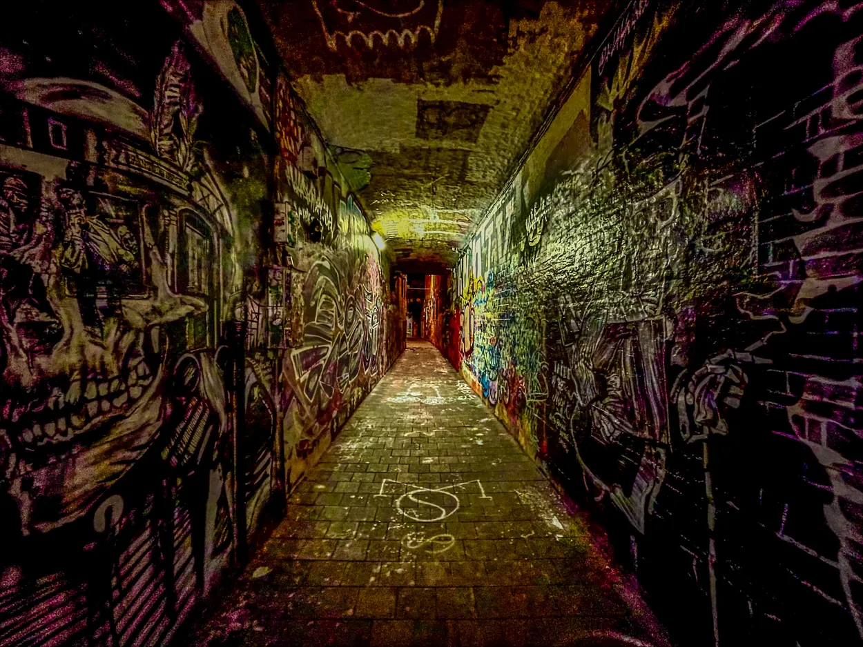 Entry 21828154