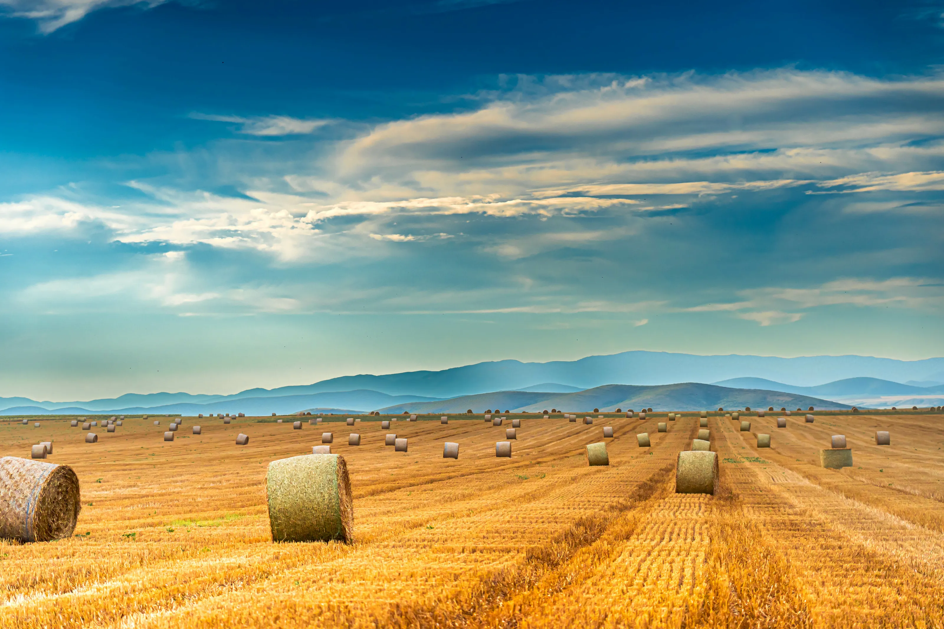 It's harvest time