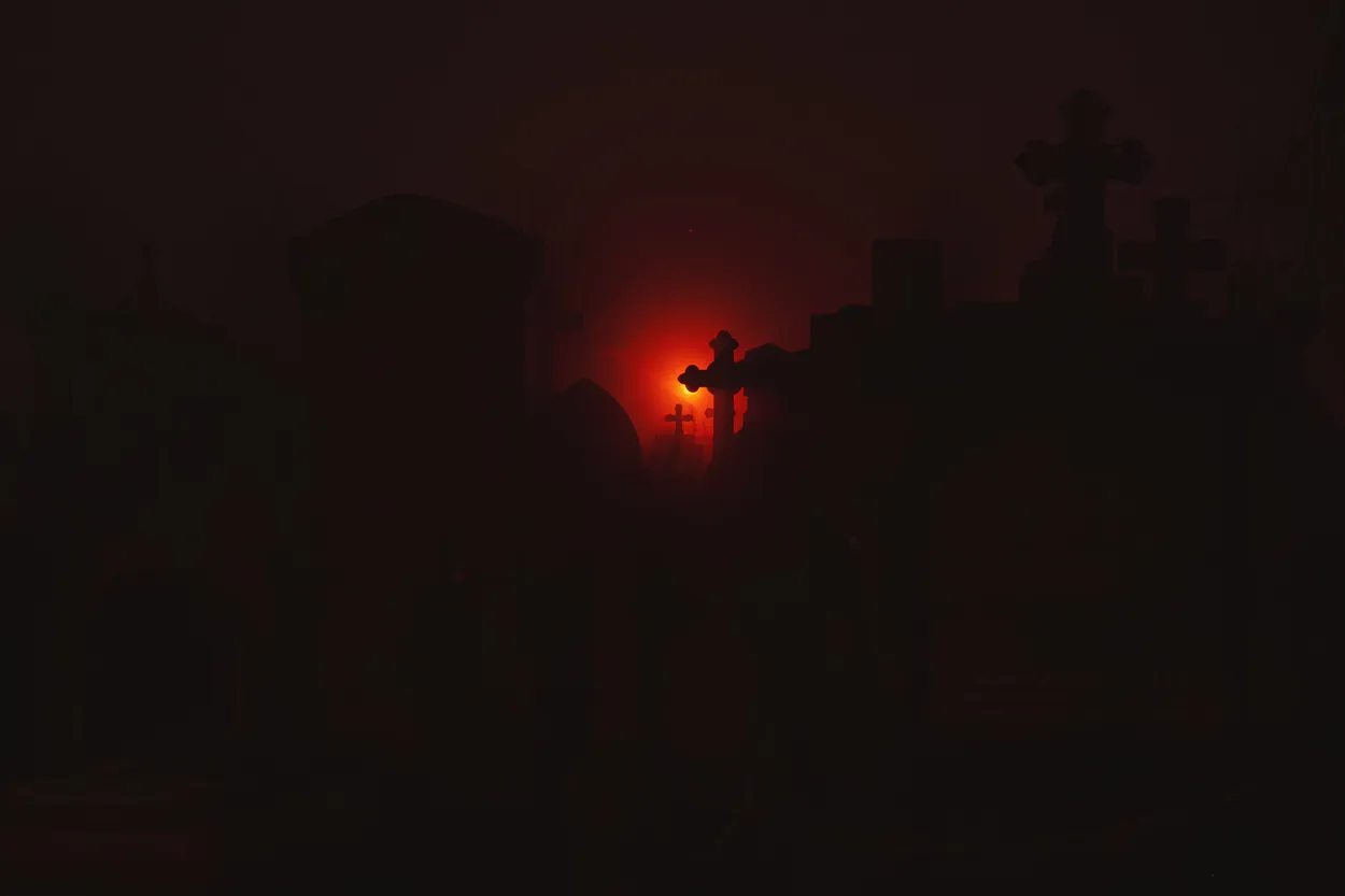 Entry 27399699