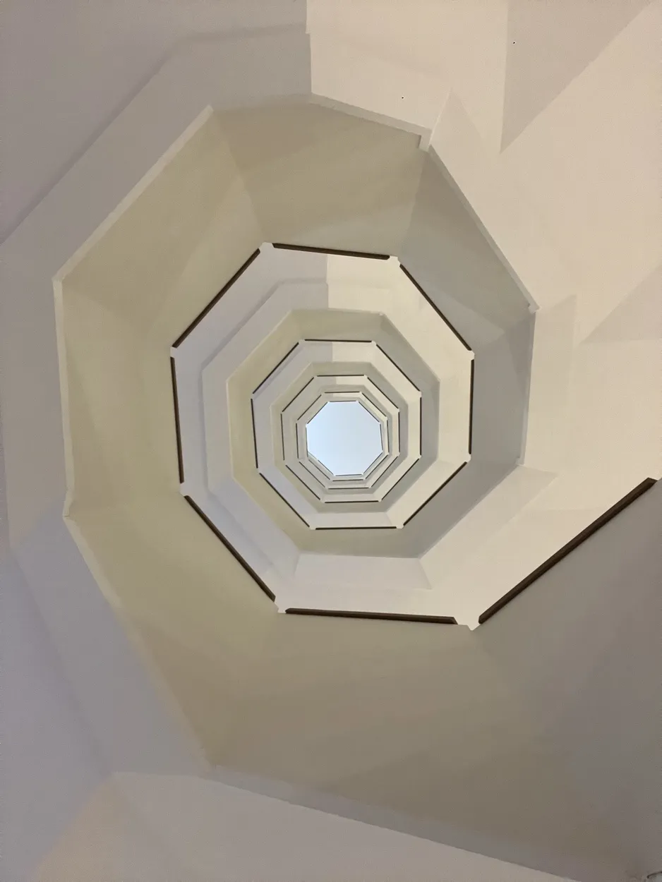 Entry 19363329