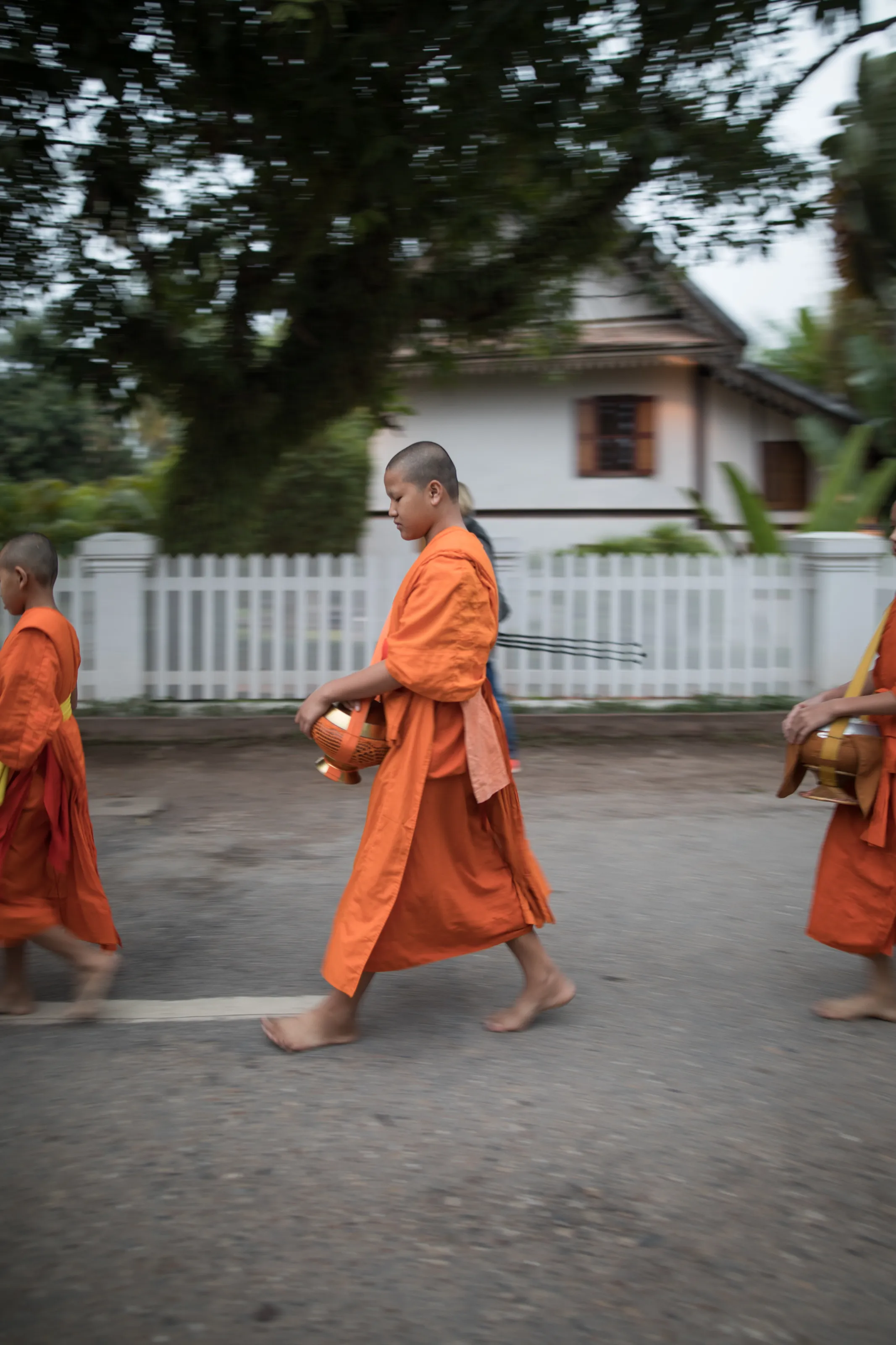 Rolling in Loas