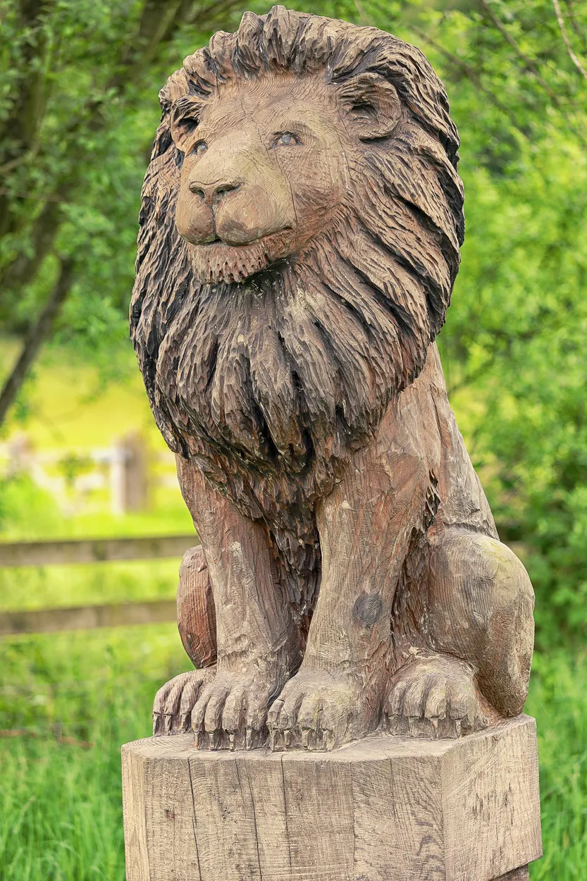 Entry 17417770