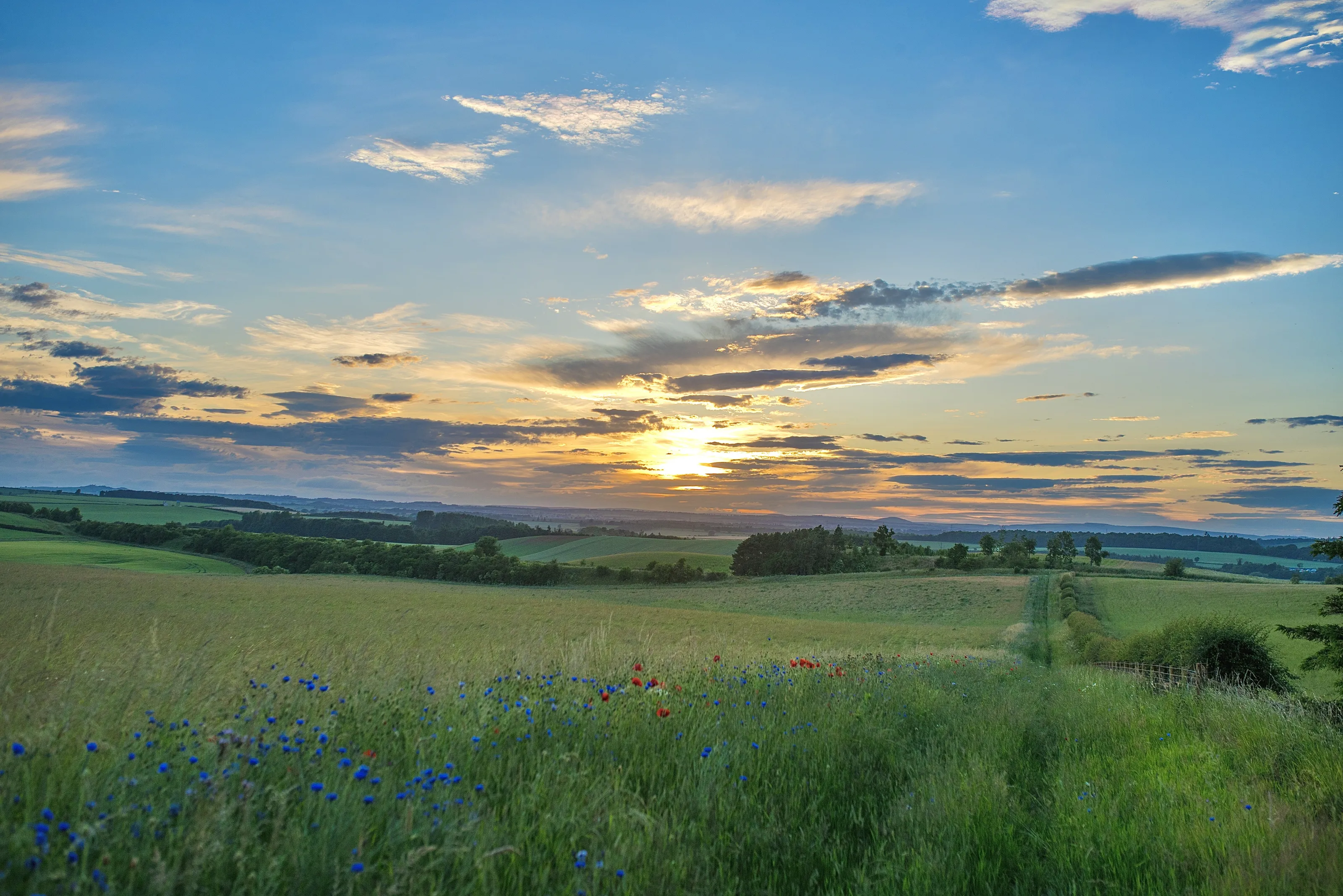 Sunset