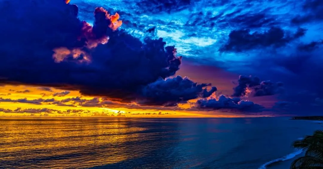 Entry 17419133