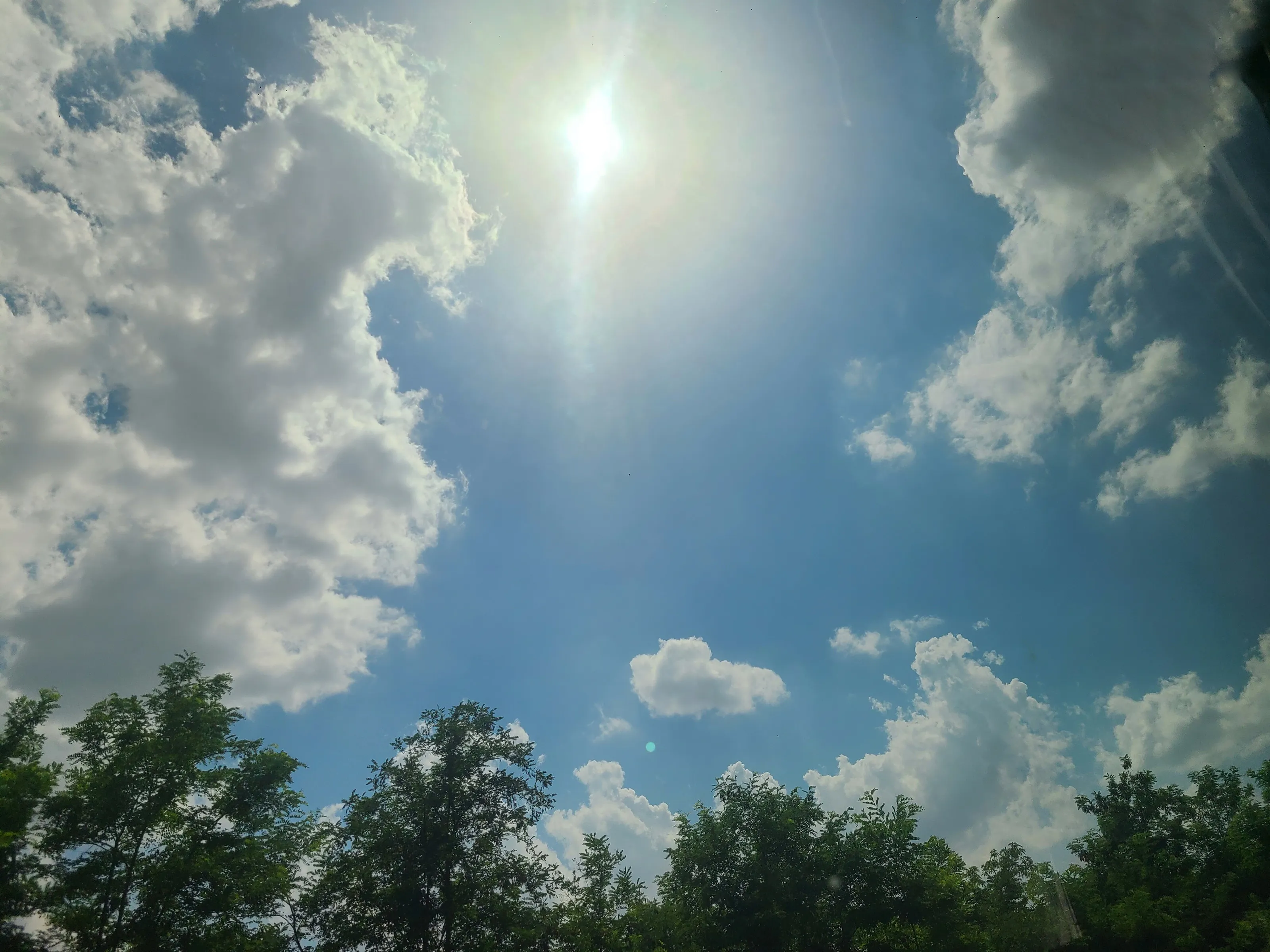 Green grass blue sky