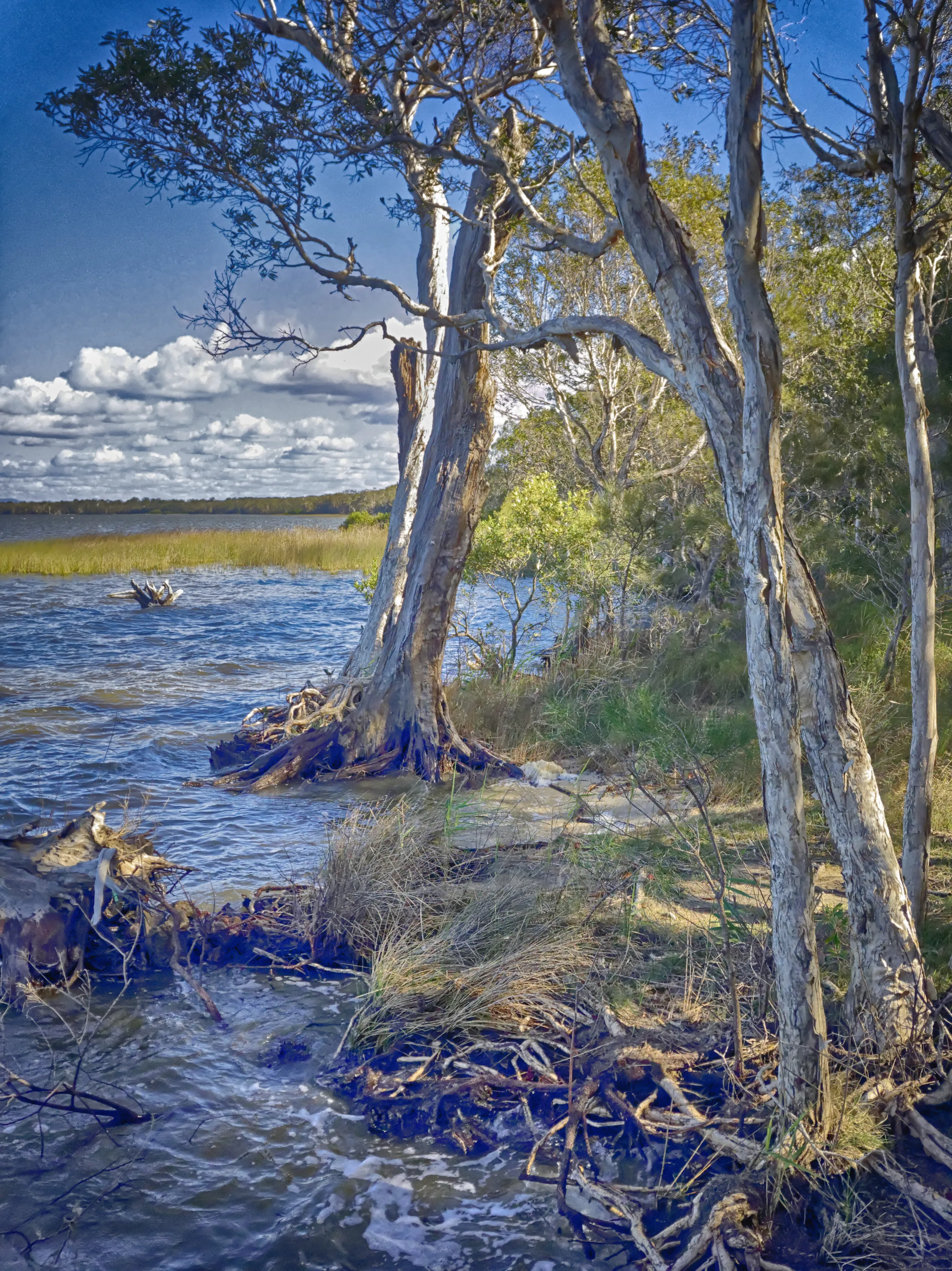 Noosa Everglades