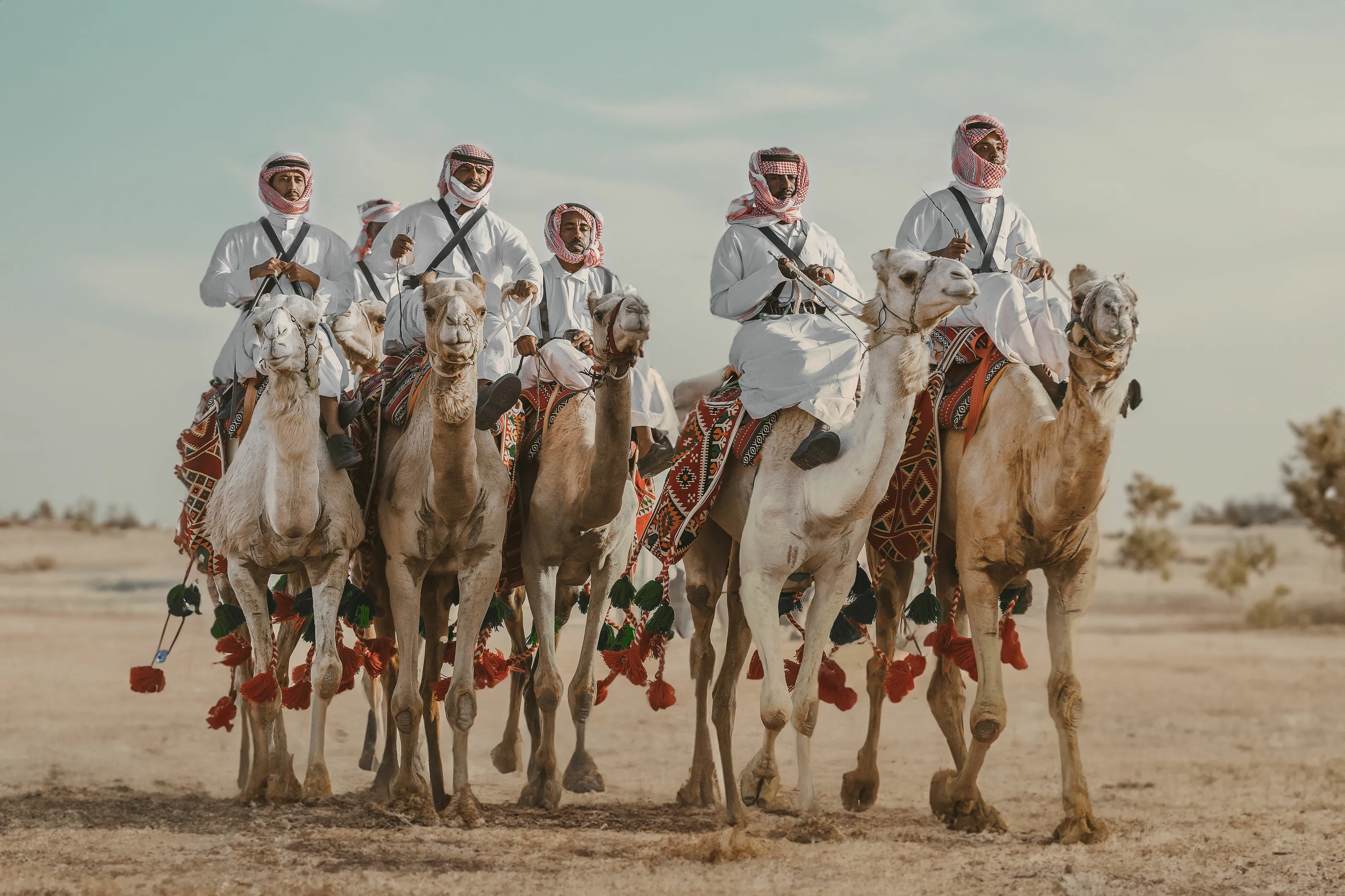 The camel is the ship of the desert