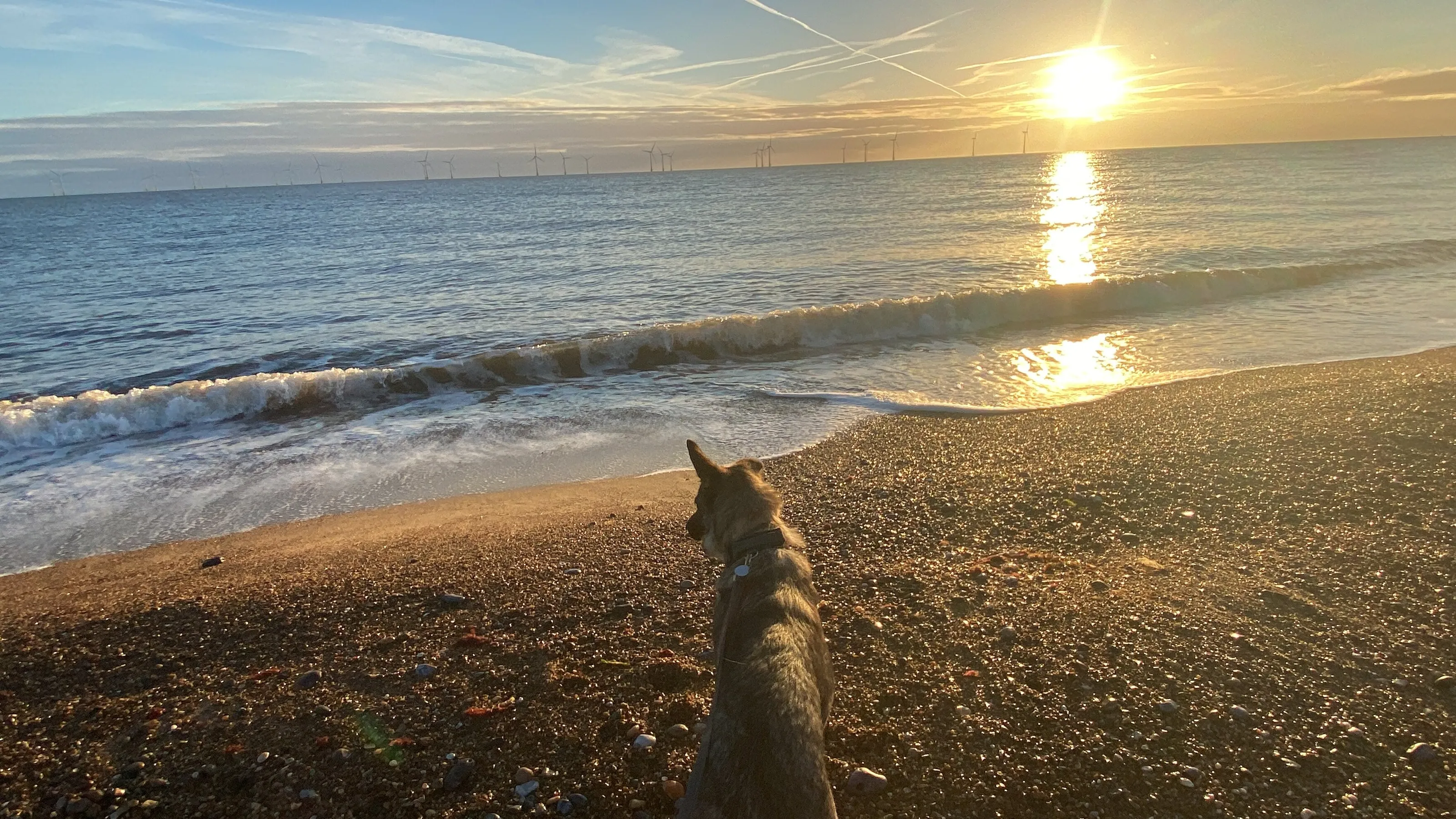 Watching the world wake up