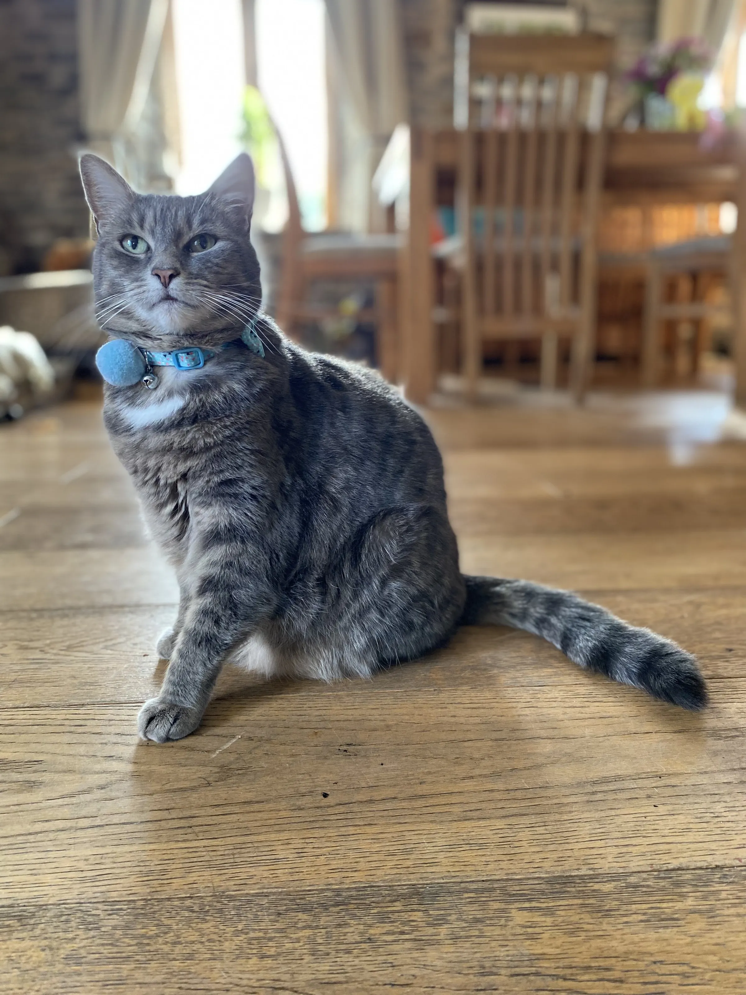 Banner image