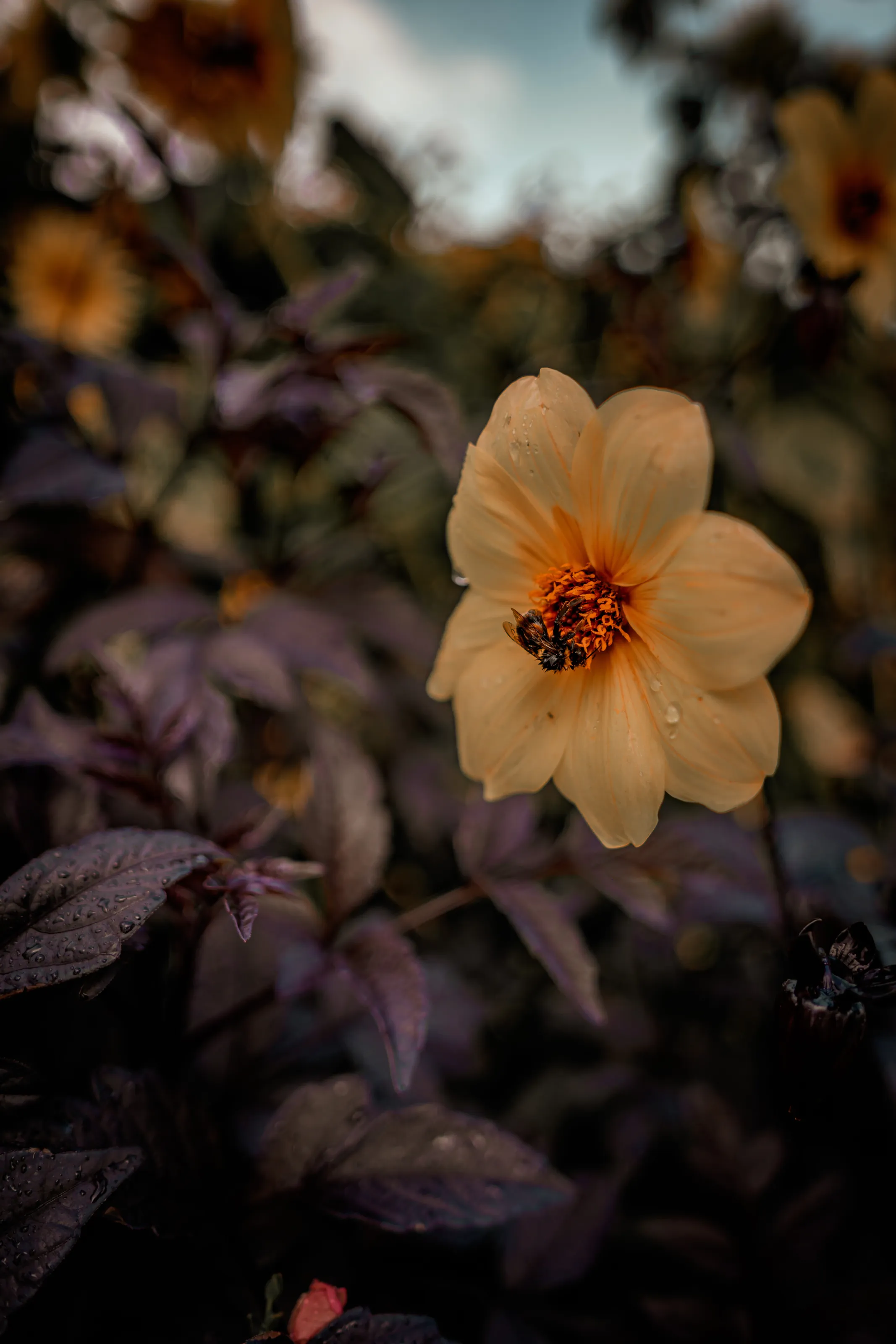 Nature working