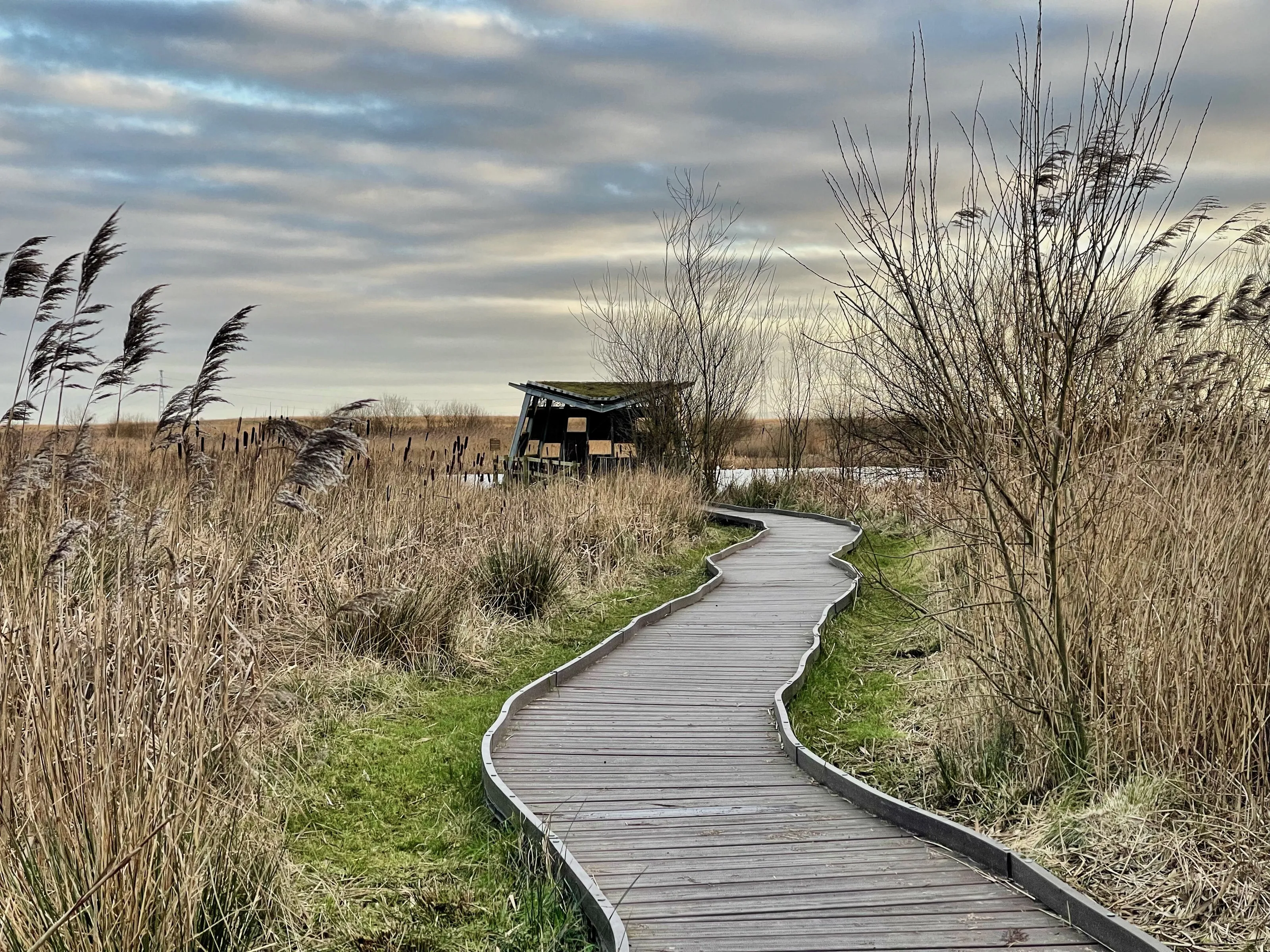Boardwalk