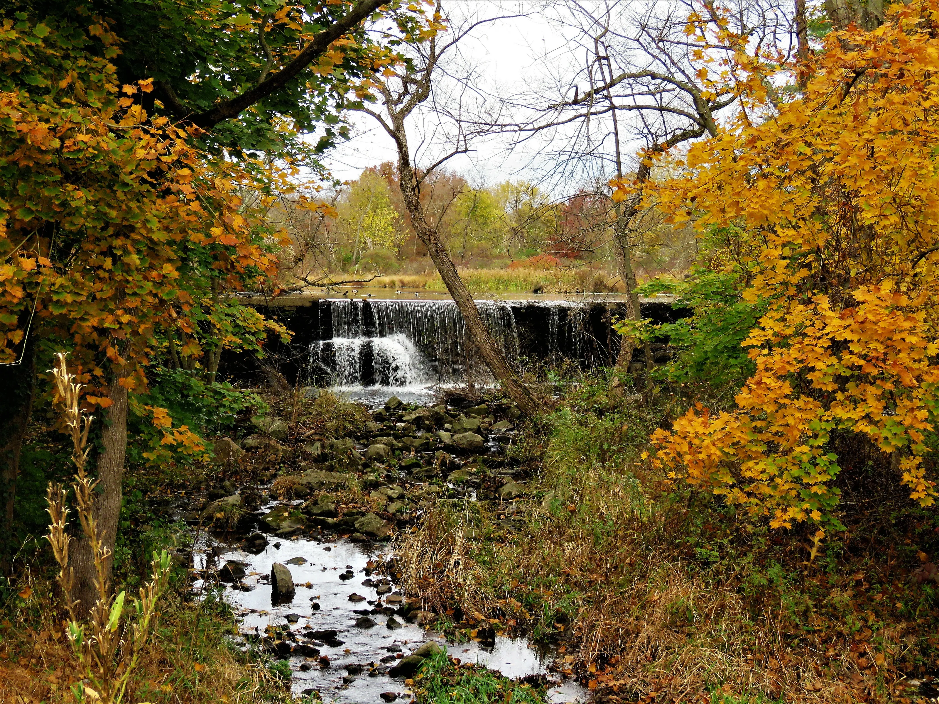 Dam on Beaver Creek