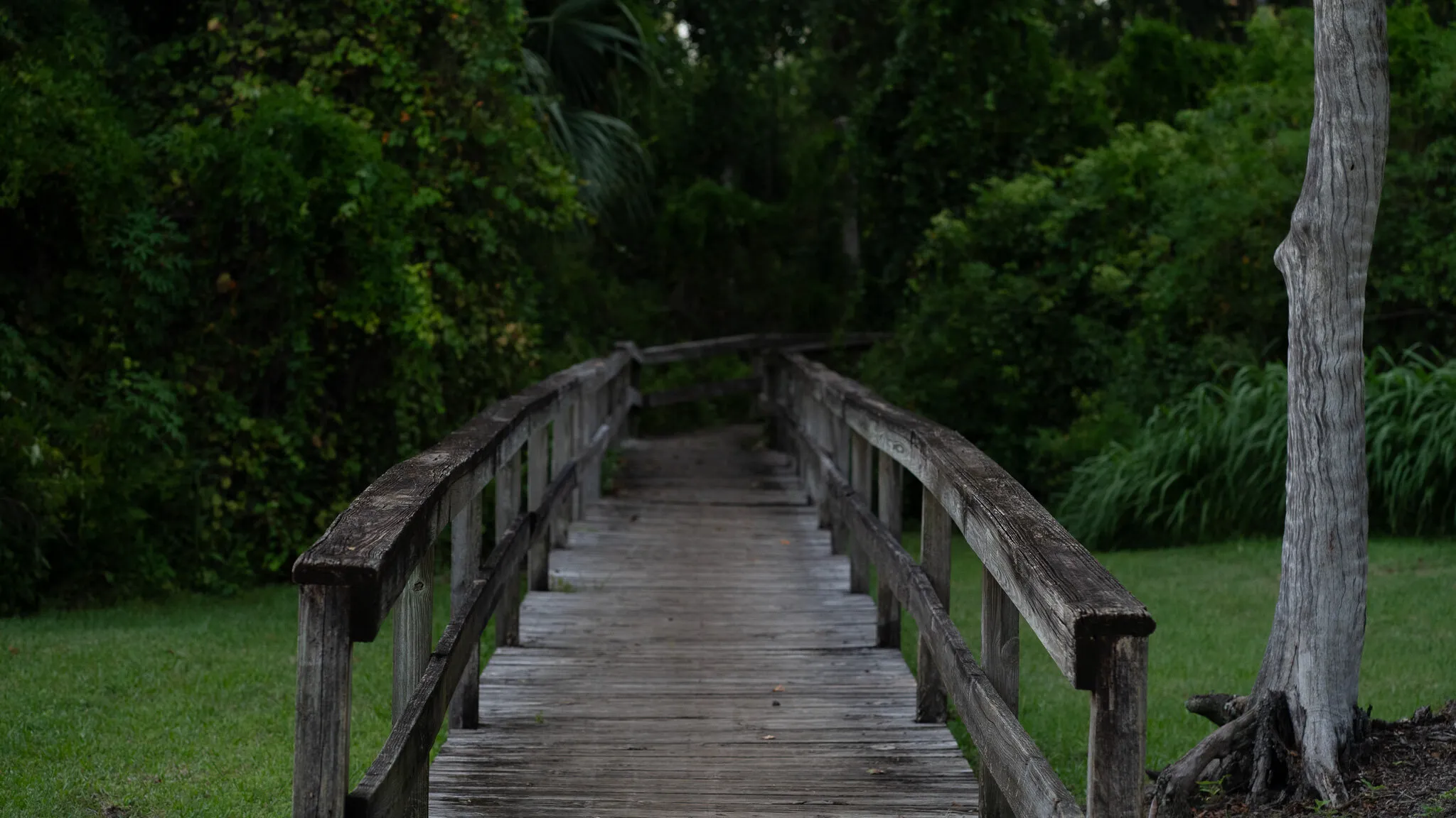 Into the Unknown