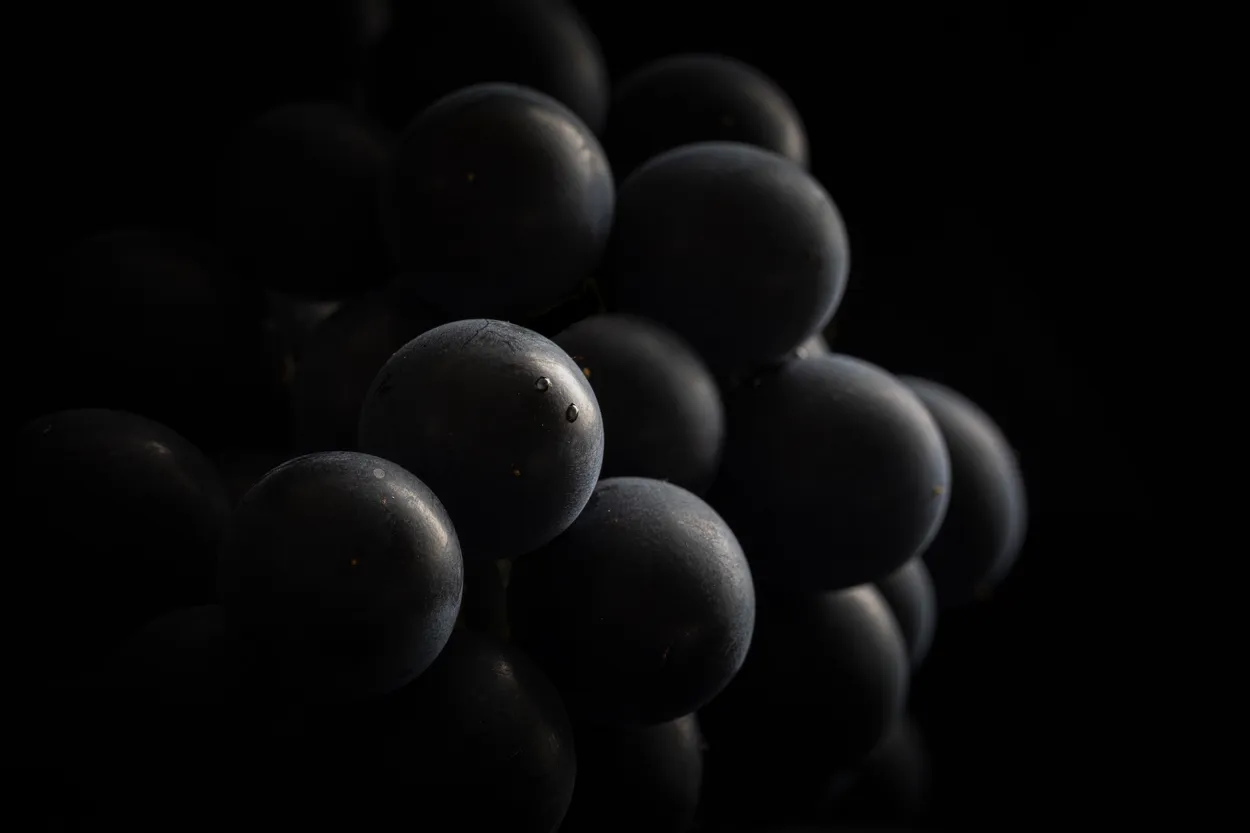 Black grapes