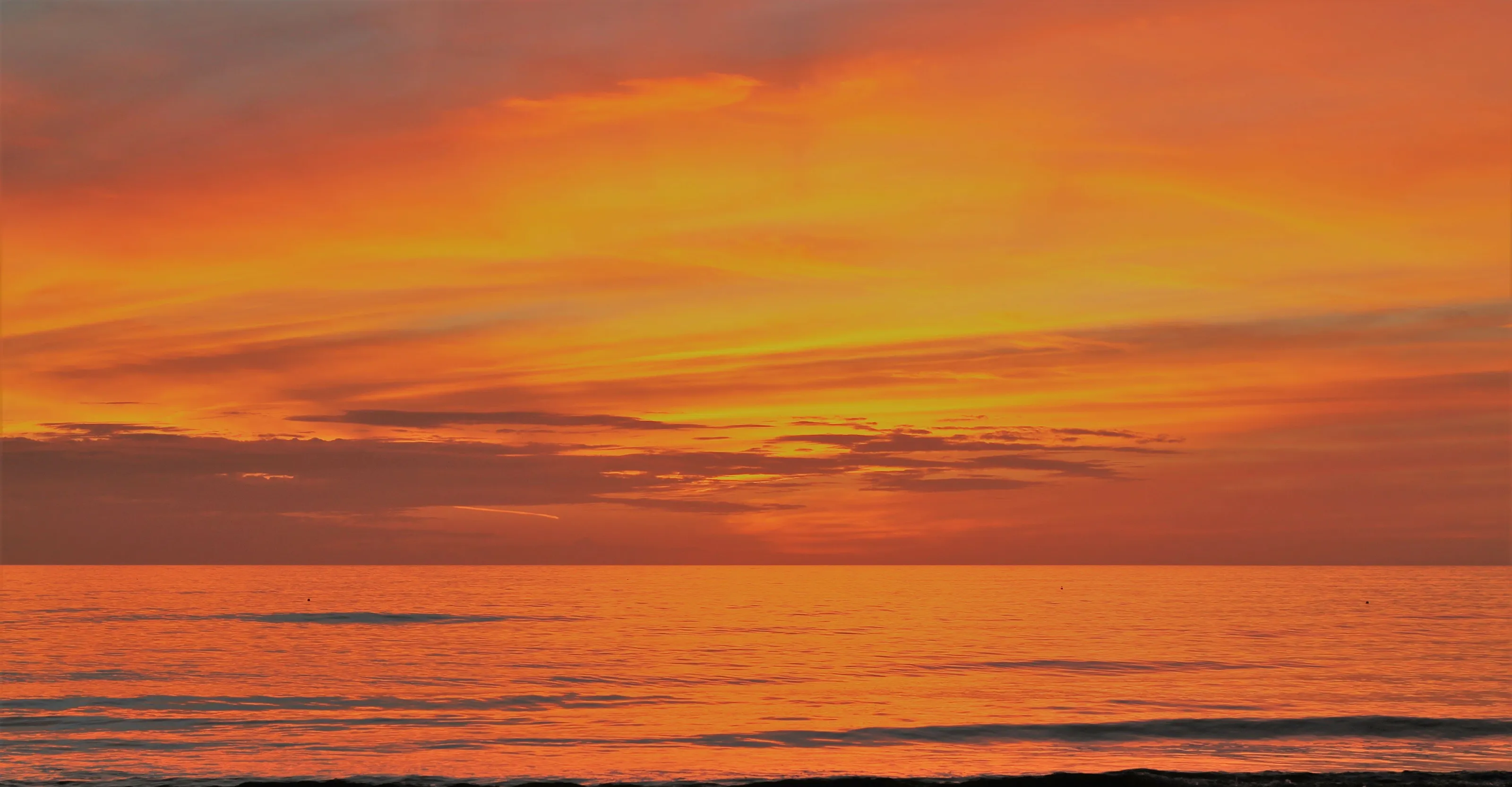 Gulf coast in twilight