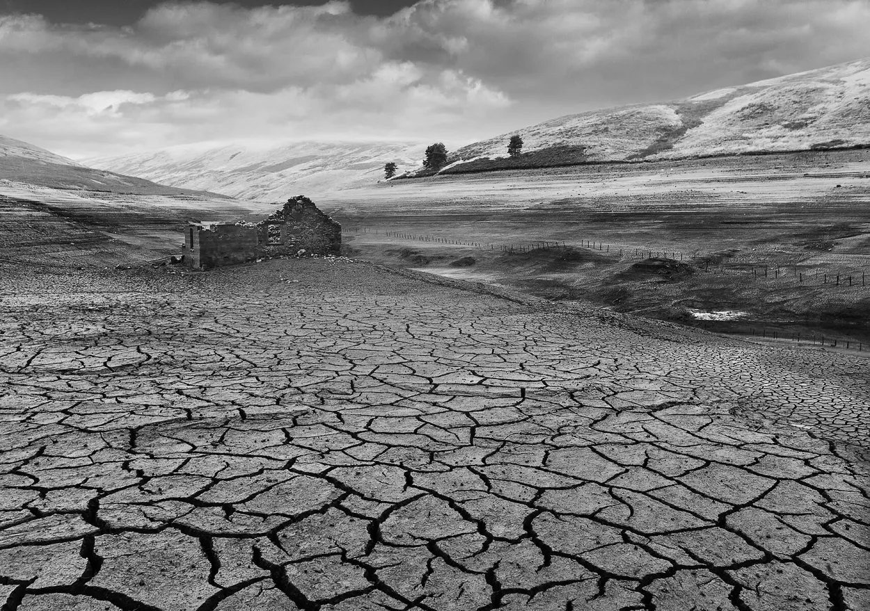 Entry 17499324