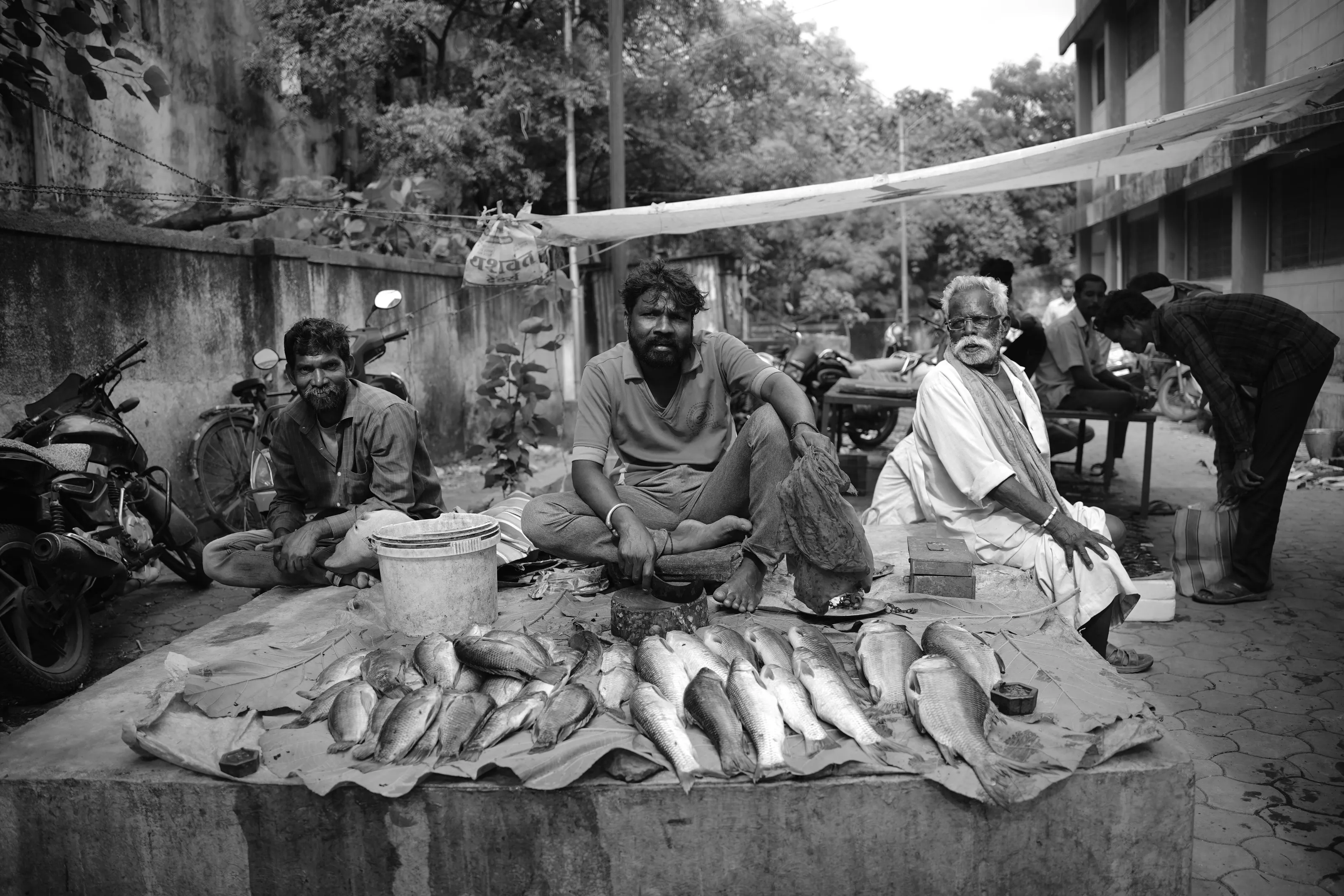 Indian fish market
