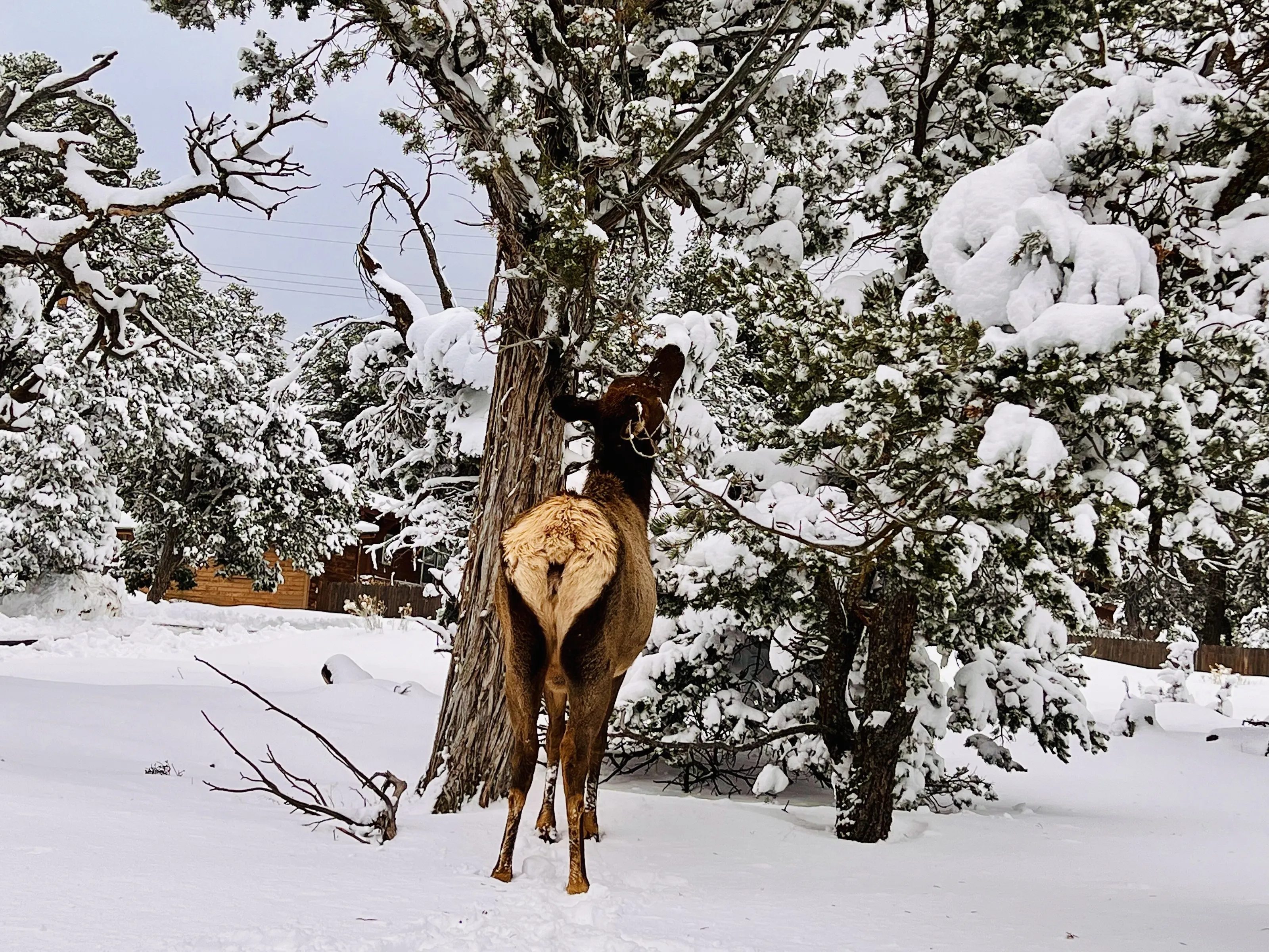 Quenching thirst in winter