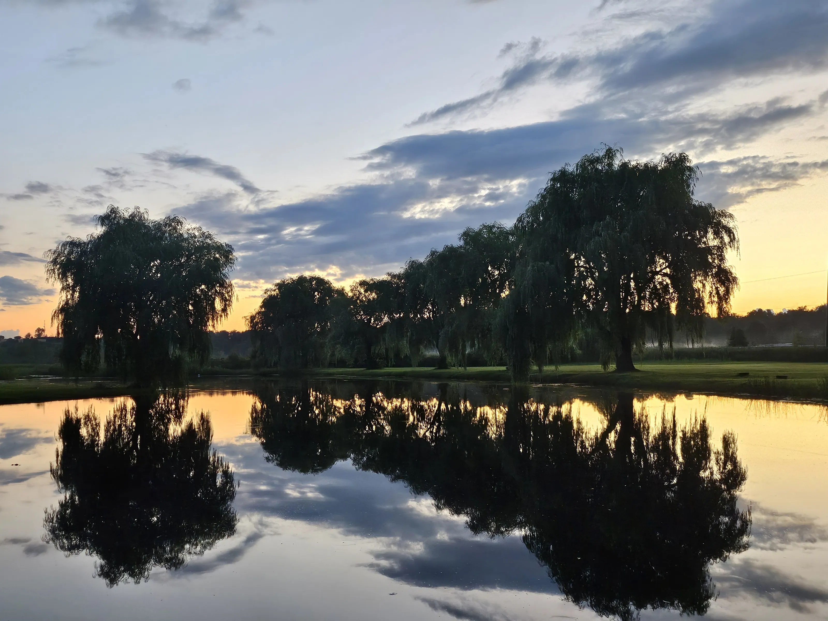 Reflection