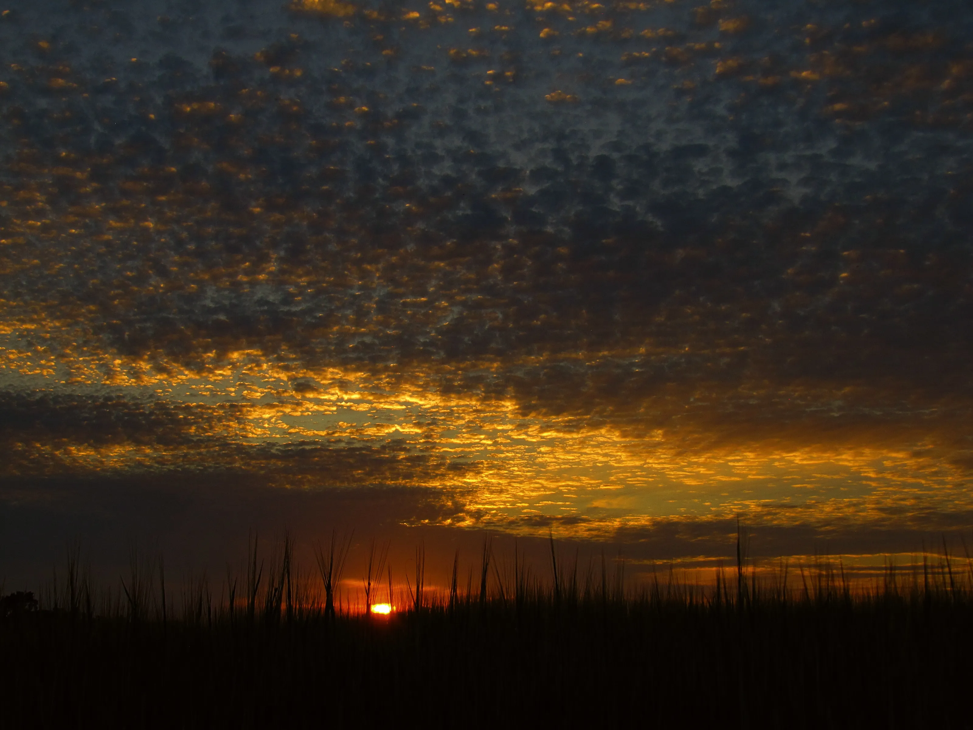 Makeral Sky