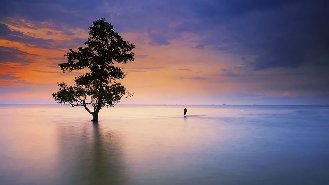 Entry 12585627