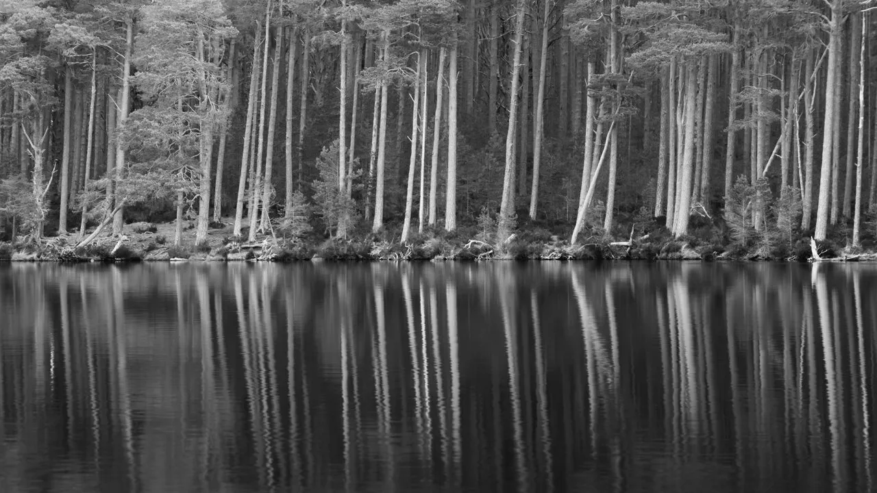 Above & Below