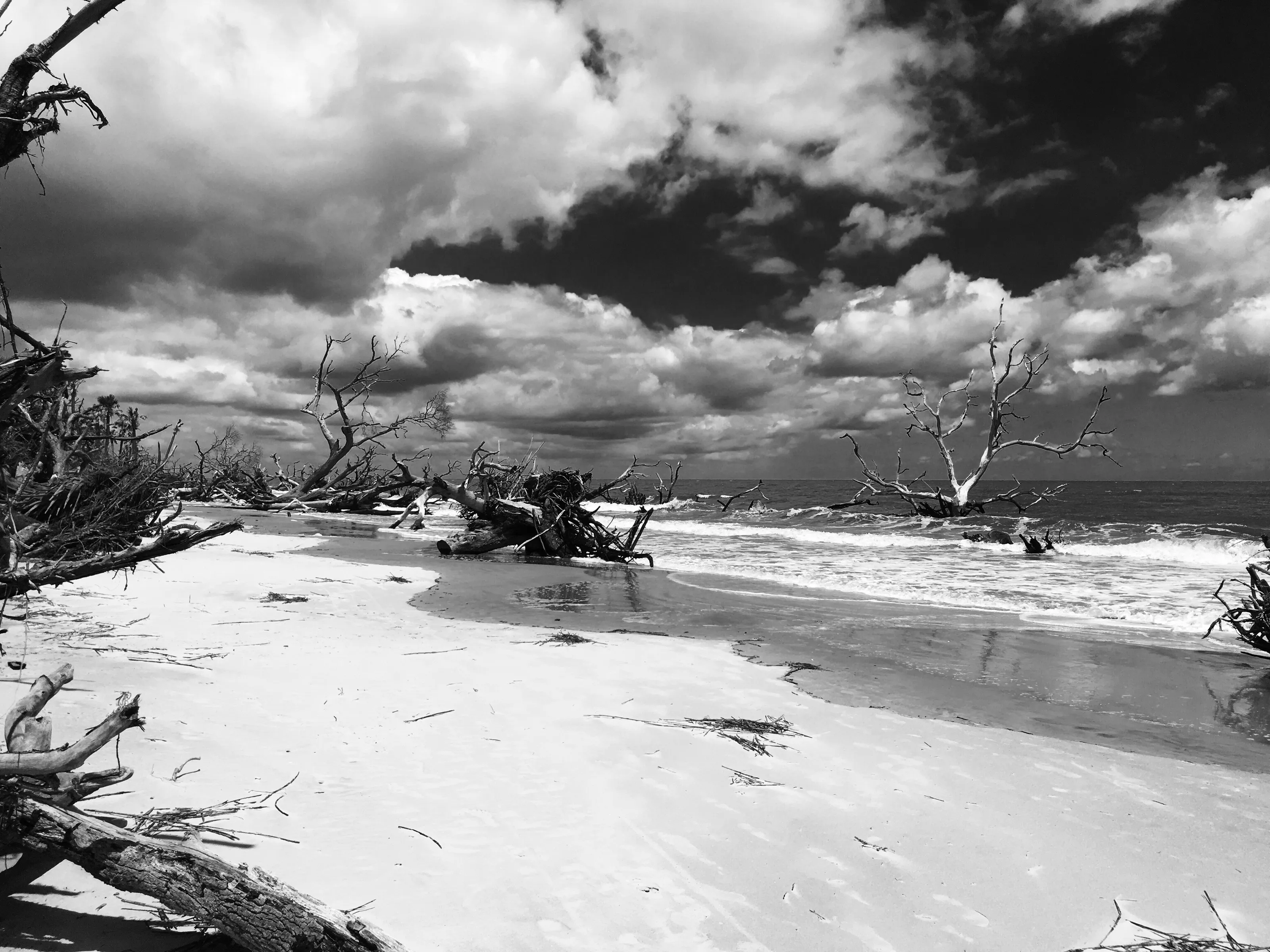 A day at the beach