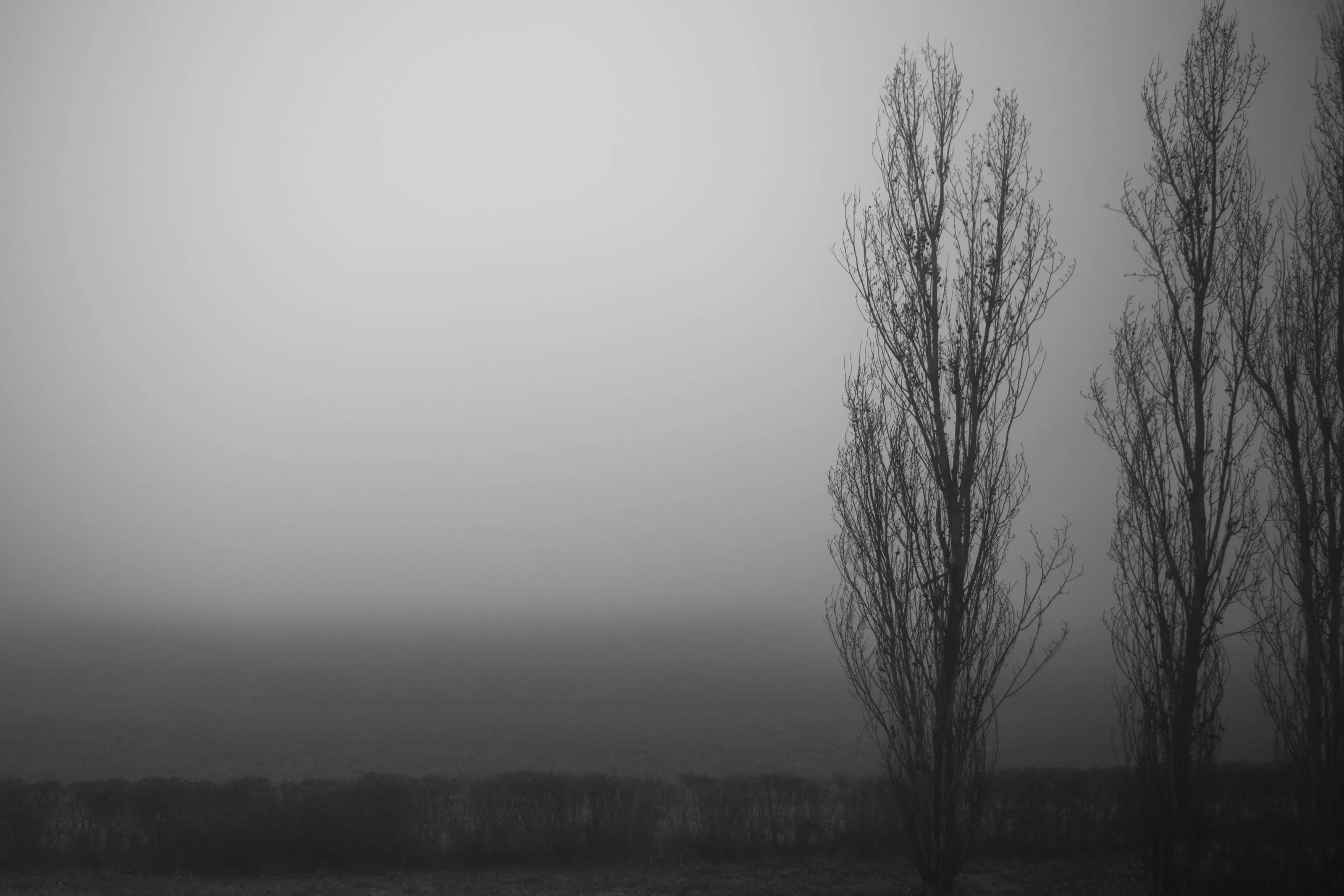 Foggy Day