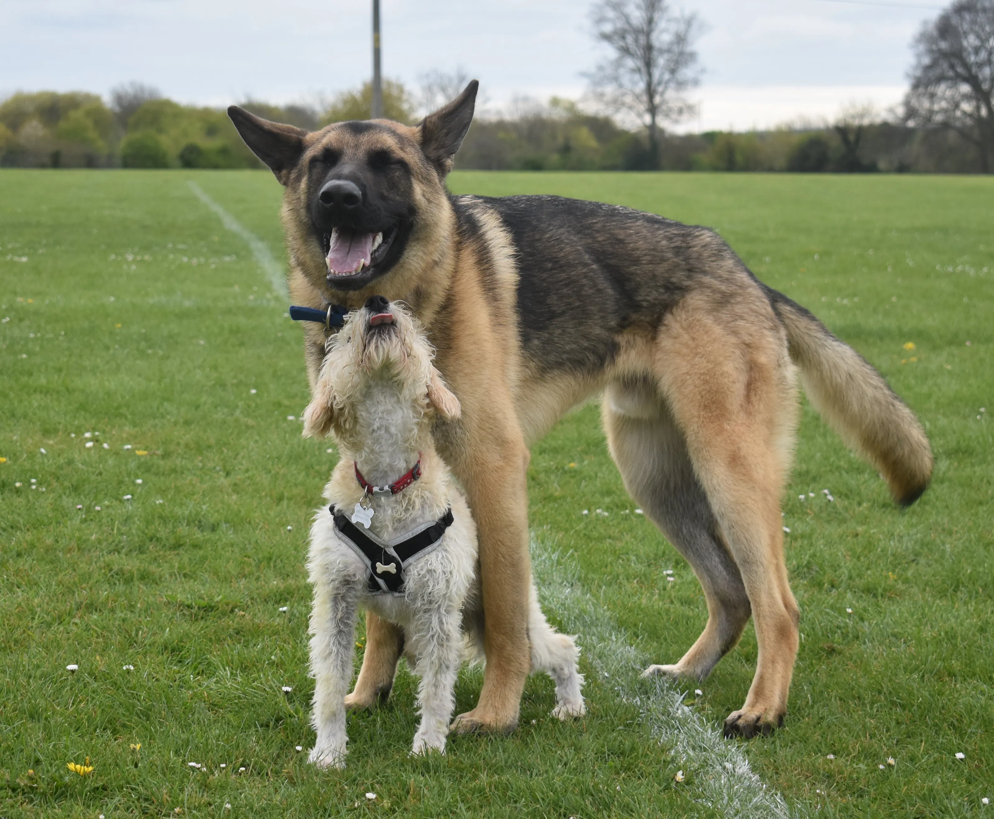 Best friends