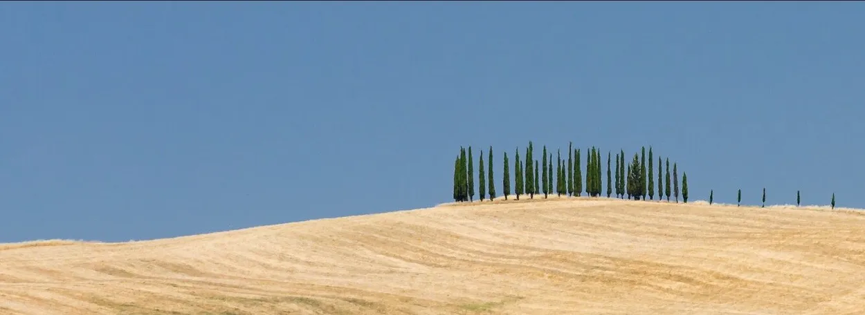 Entry 922379