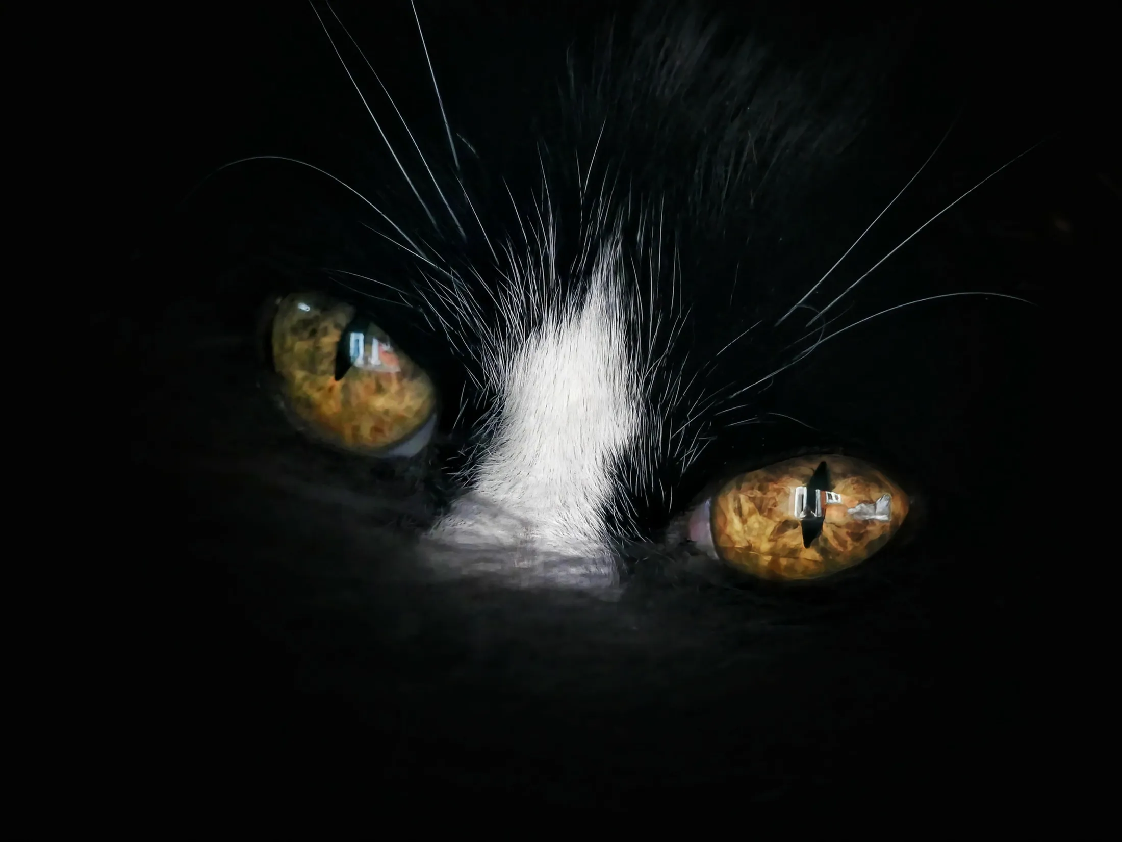 Magic eyes