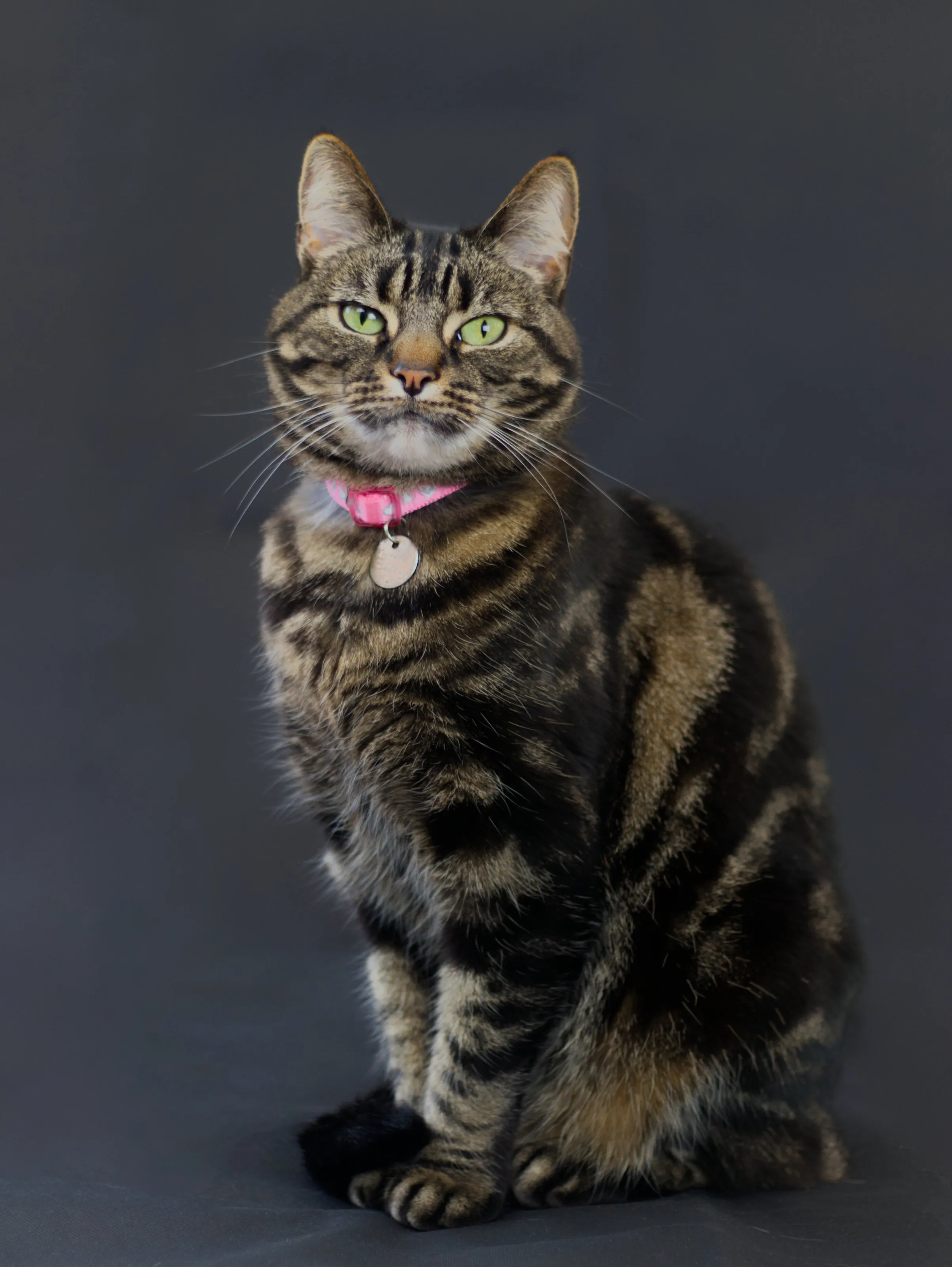 Saffy