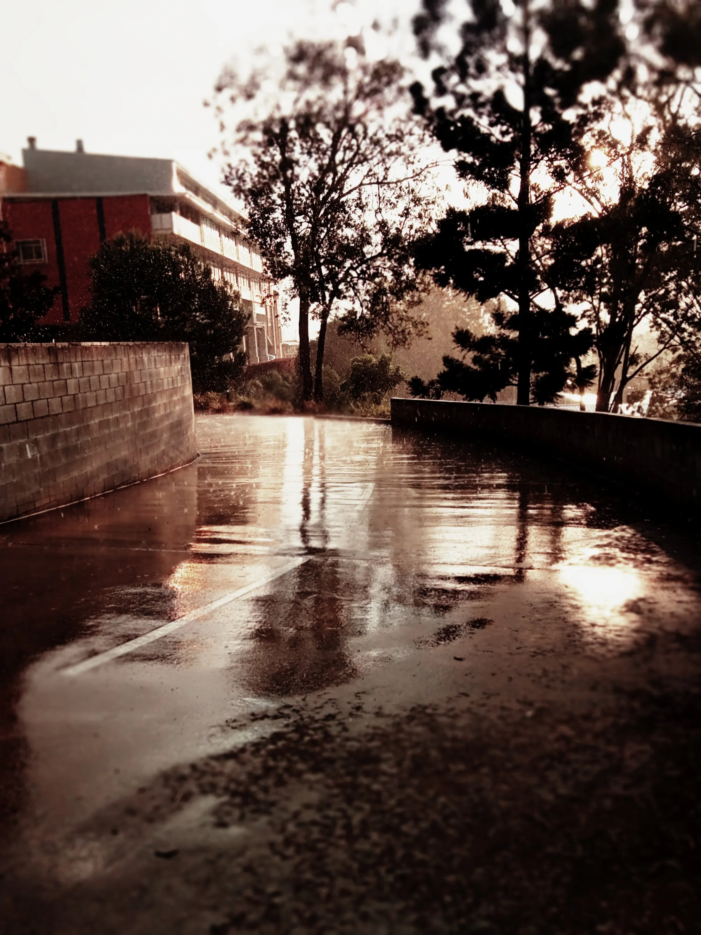 Dancing In The Rain